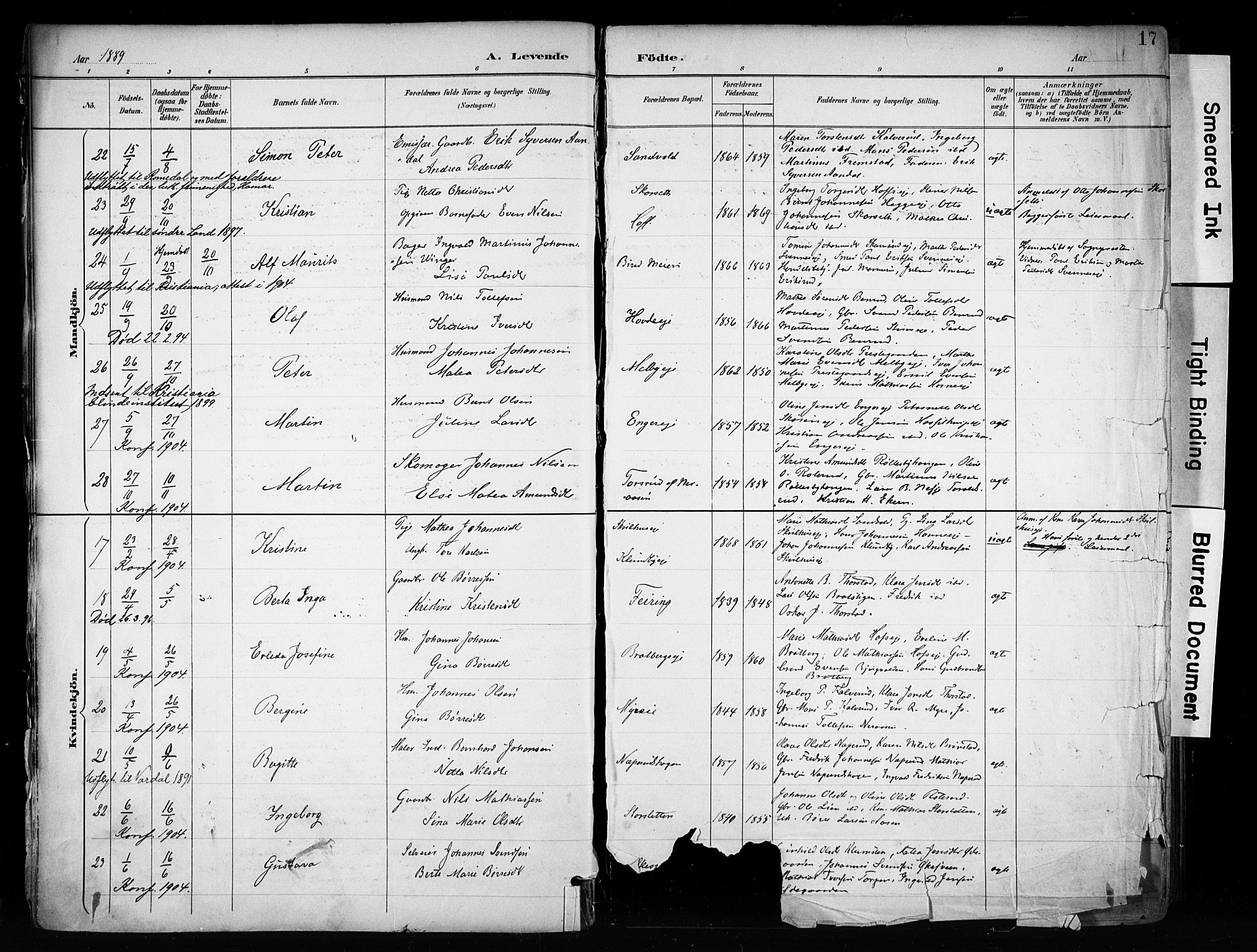 Biri prestekontor, AV/SAH-PREST-096/H/Ha/Haa/L0009: Ministerialbok nr. 9, 1887-1900, s. 17