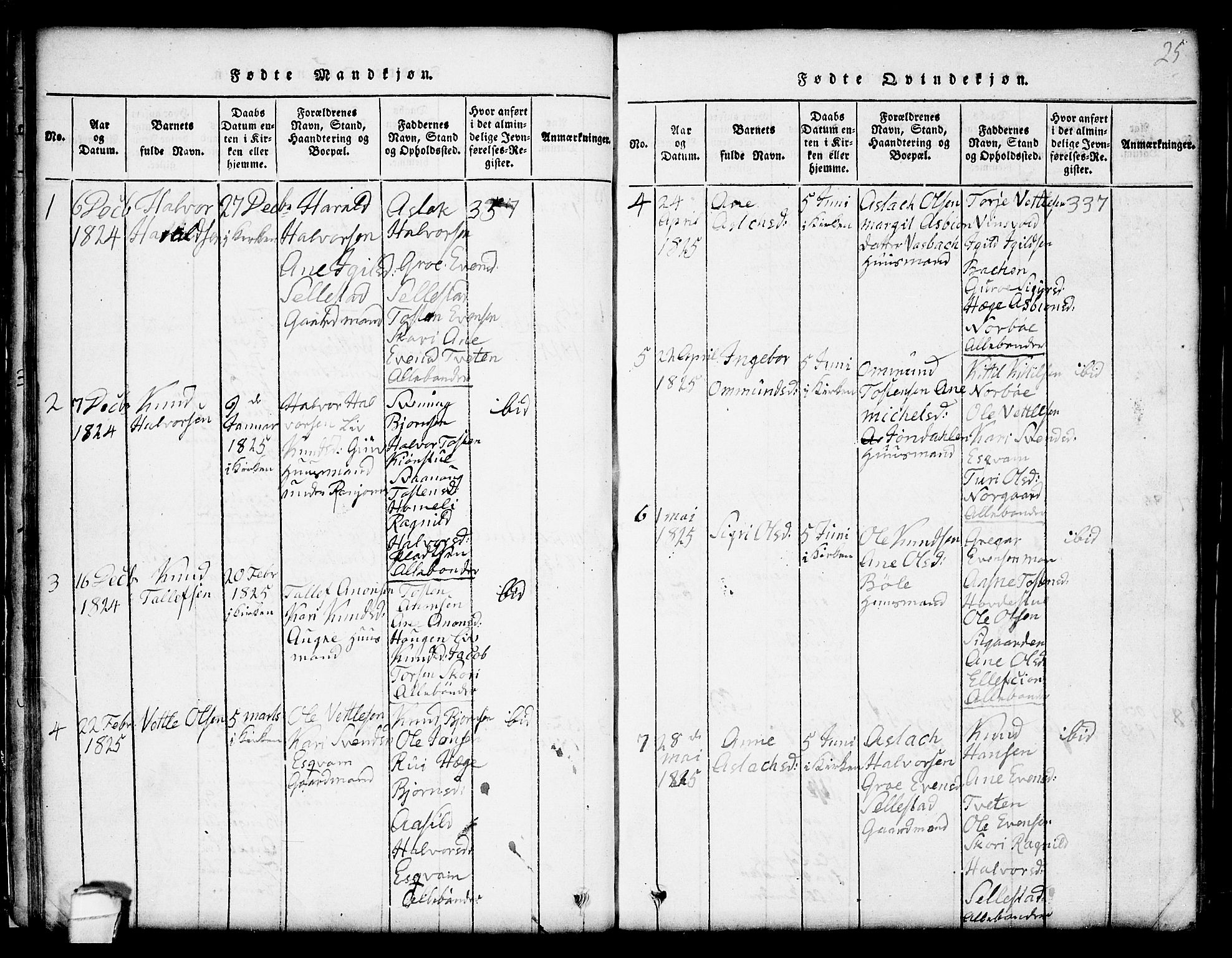Seljord kirkebøker, AV/SAKO-A-20/G/Gc/L0001: Klokkerbok nr. III 1, 1815-1849, s. 25