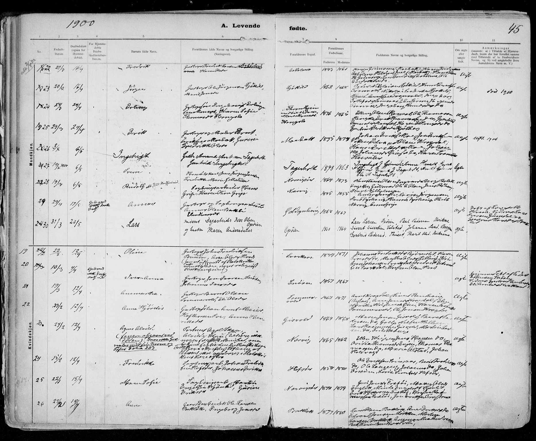 Ministerialprotokoller, klokkerbøker og fødselsregistre - Sør-Trøndelag, SAT/A-1456/668/L0811: Ministerialbok nr. 668A11, 1894-1913, s. 45