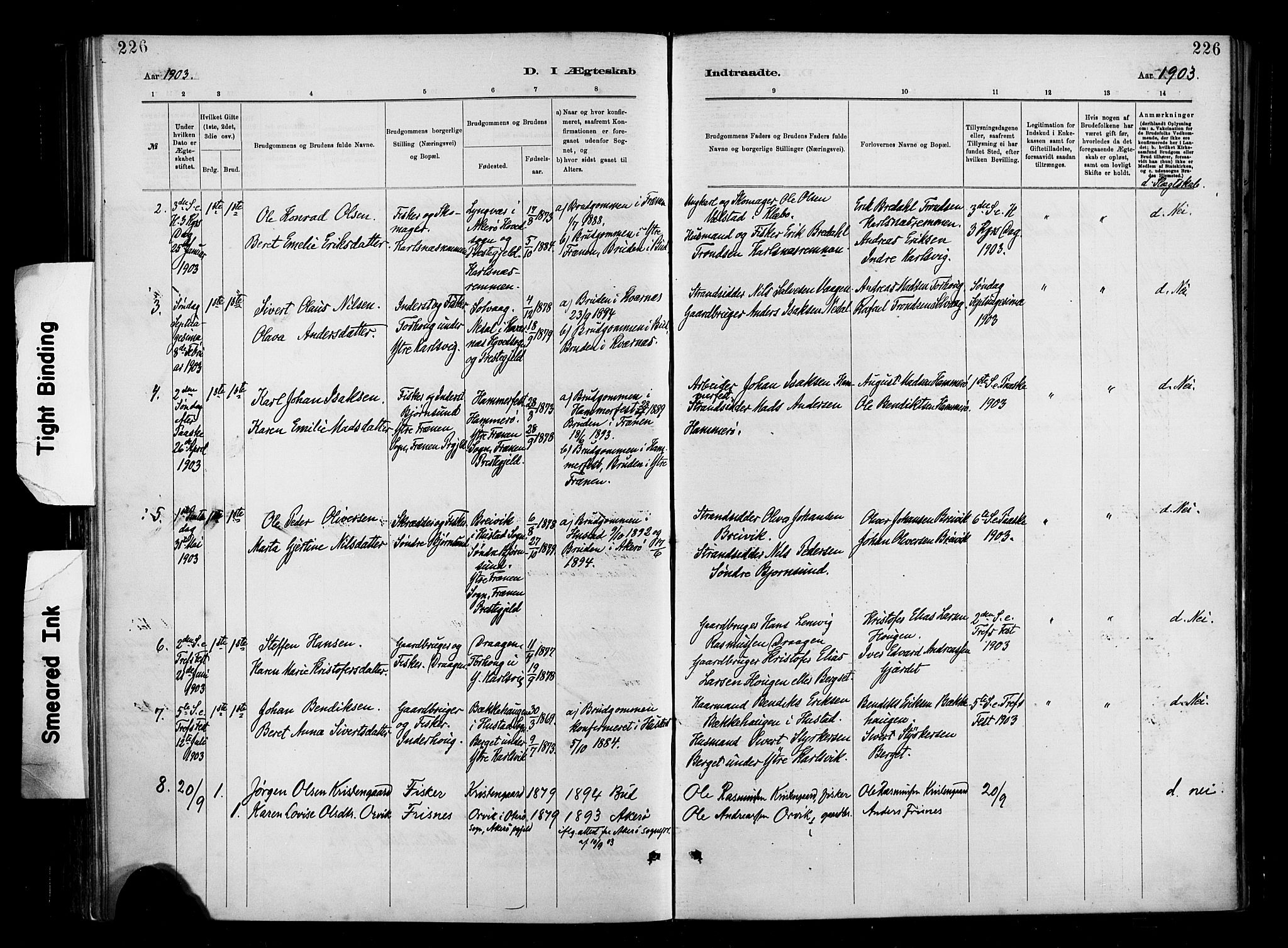 Ministerialprotokoller, klokkerbøker og fødselsregistre - Møre og Romsdal, AV/SAT-A-1454/566/L0769: Ministerialbok nr. 566A08, 1881-1903, s. 226