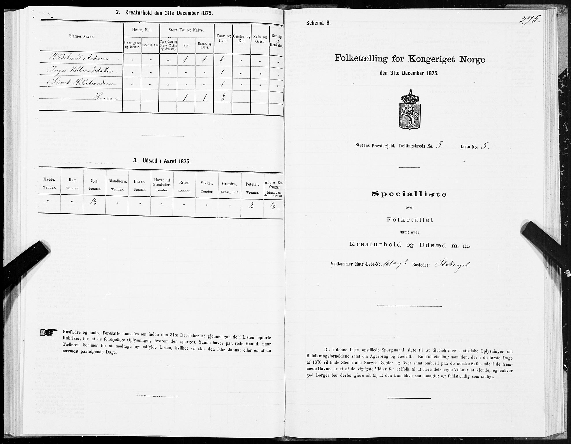 SAT, Folketelling 1875 for 1648P Støren prestegjeld, 1875, s. 8275