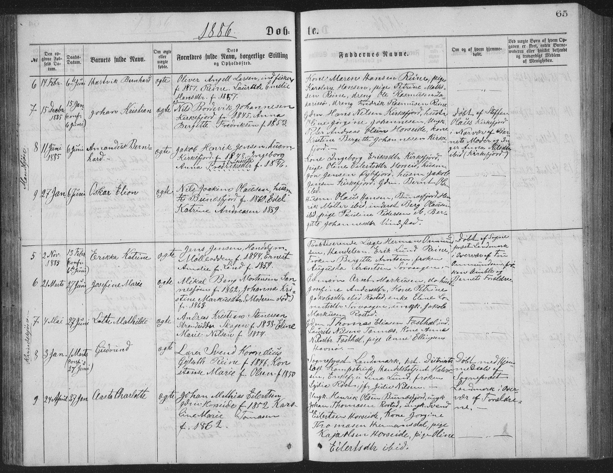 Ministerialprotokoller, klokkerbøker og fødselsregistre - Nordland, AV/SAT-A-1459/886/L1225: Klokkerbok nr. 886C02, 1874-1896, s. 65