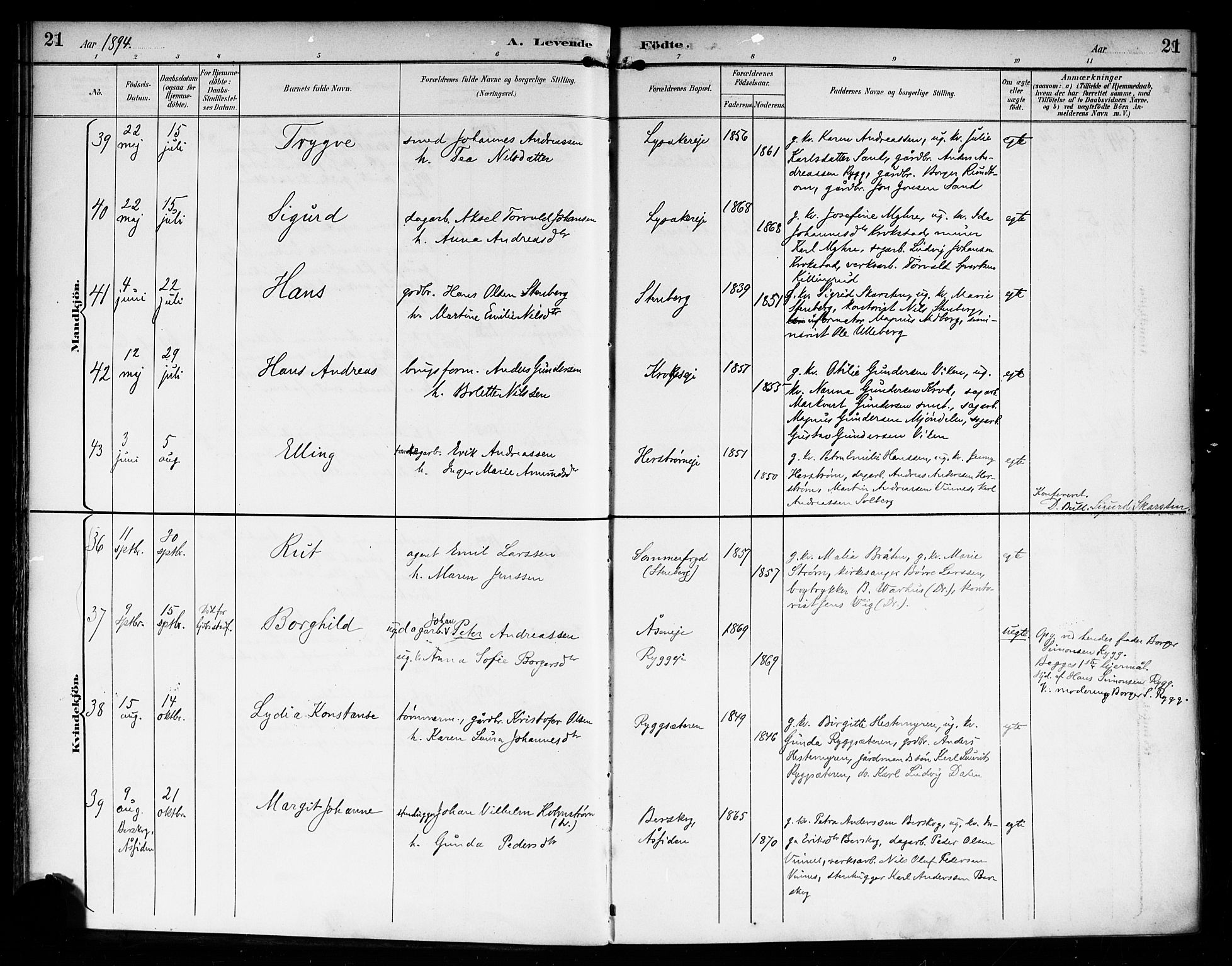 Nedre Eiker kirkebøker, AV/SAKO-A-612/F/Fa/L0004: Ministerialbok nr. 4, 1893-1898, s. 21