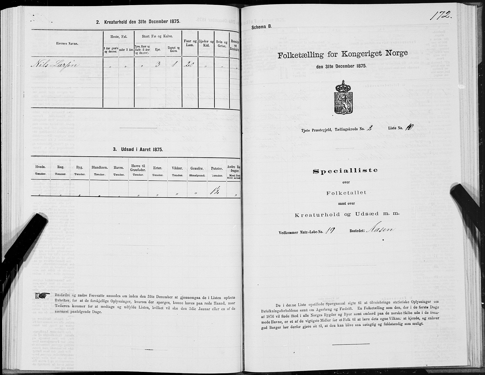 SAT, Folketelling 1875 for 1817P Tjøtta prestegjeld, 1875, s. 1172