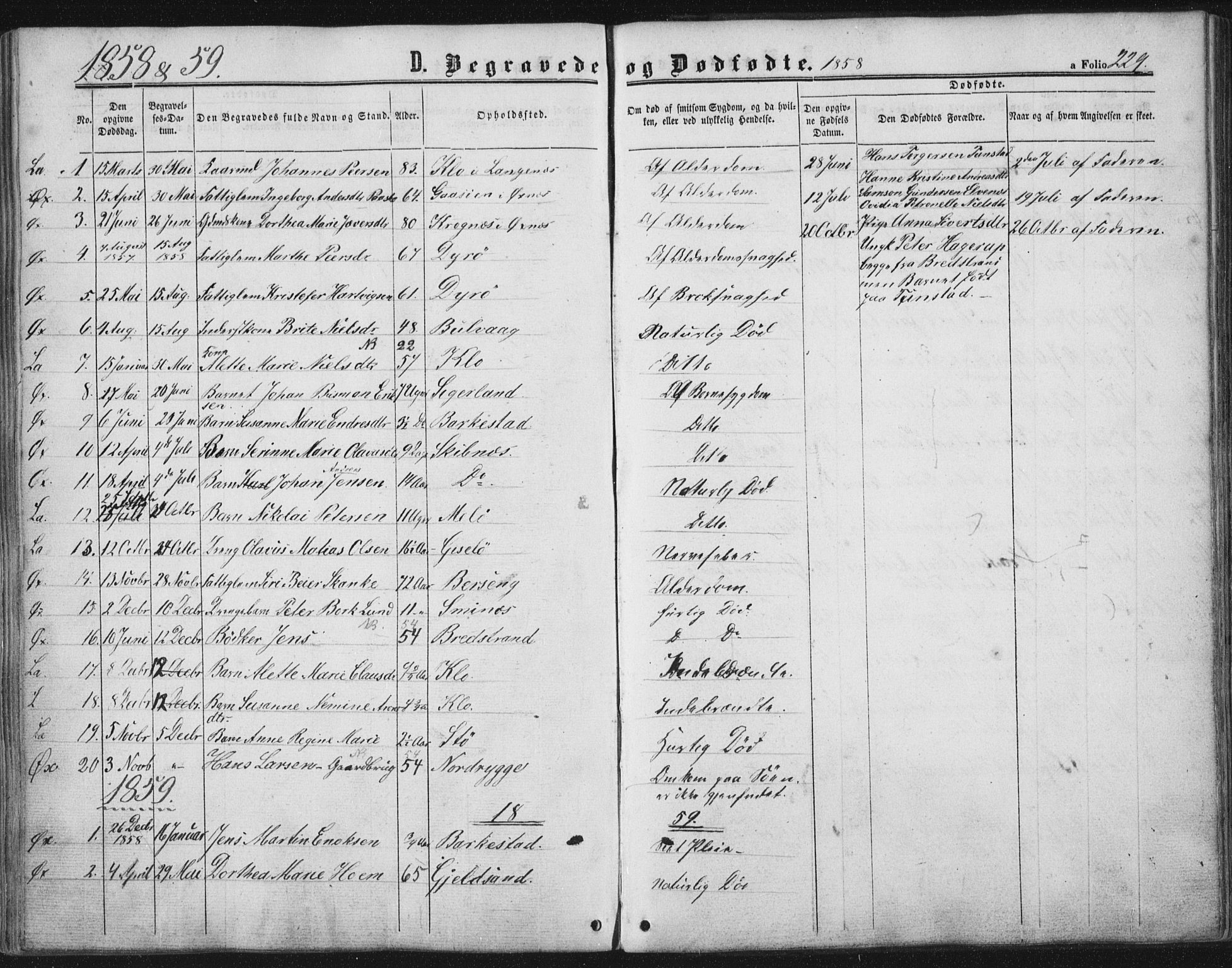 Ministerialprotokoller, klokkerbøker og fødselsregistre - Nordland, AV/SAT-A-1459/893/L1333: Ministerialbok nr. 893A06, 1858-1866, s. 229