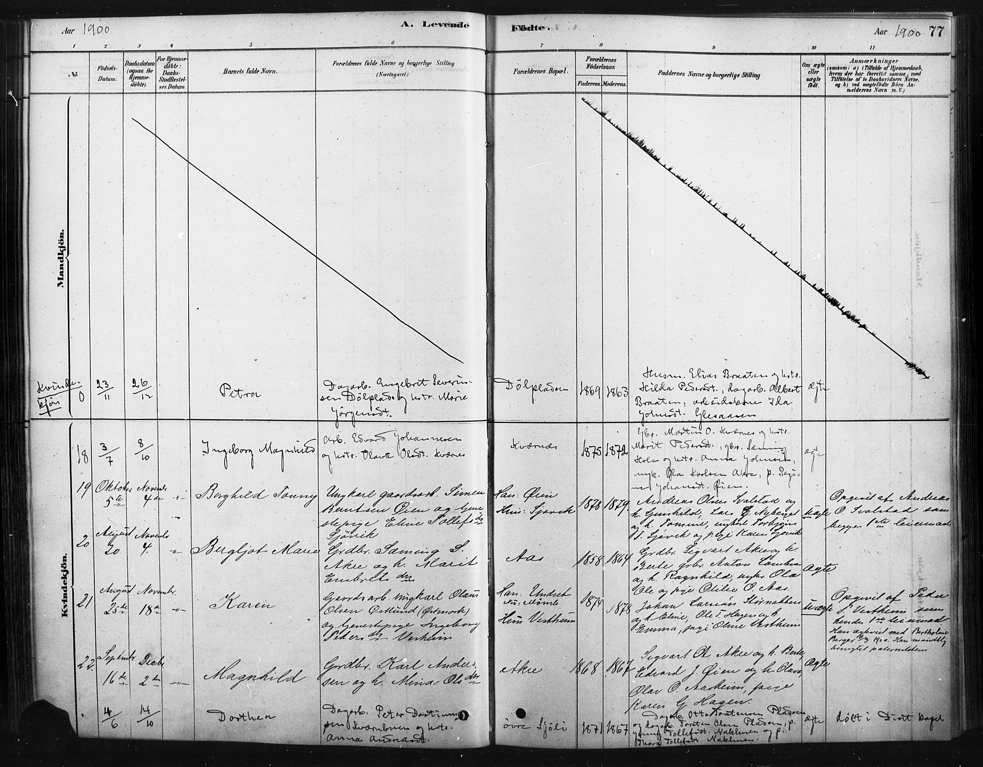 Rendalen prestekontor, SAH/PREST-054/H/Ha/Haa/L0010: Ministerialbok nr. 10, 1878-1901, s. 77
