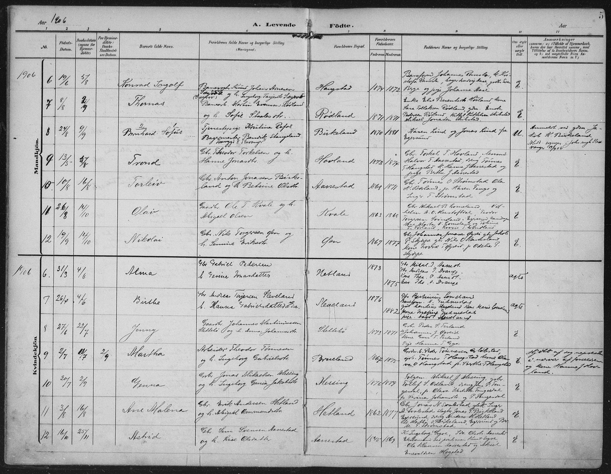 Helleland sokneprestkontor, AV/SAST-A-101810: Ministerialbok nr. A 12, 1906-1923, s. 5