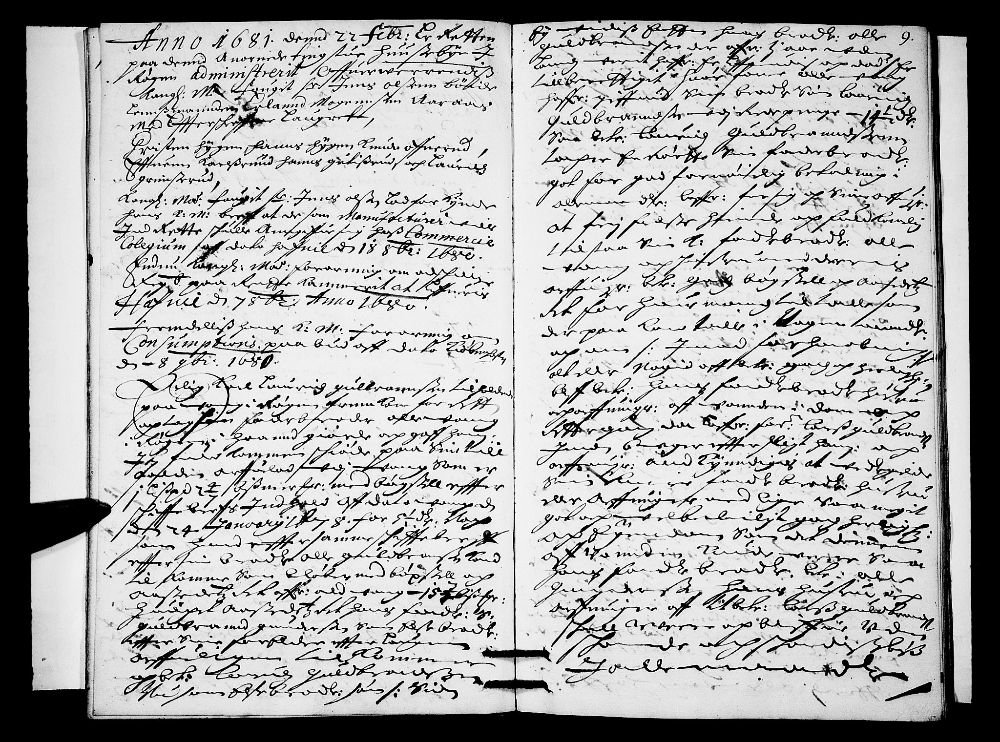 Lier, Røyken og Hurum sorenskriveri, AV/SAKO-A-89/F/Fa/L0022: Tingbok, 1681, s. 9