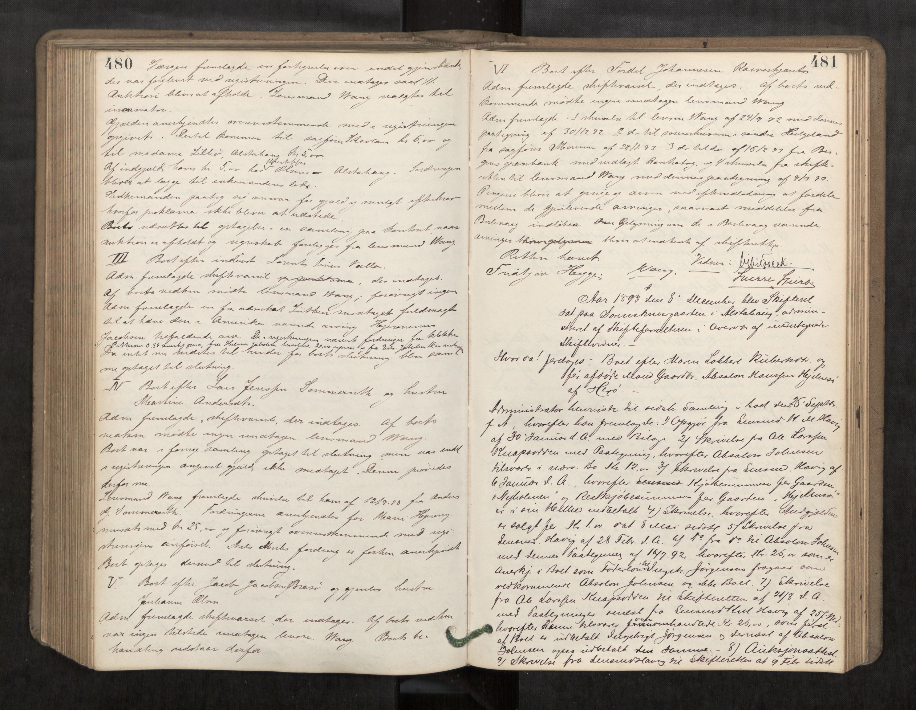 Søndre Helgeland sorenskriveri, AV/SAT-A-4575/1/3/3B/L0004: Skiftebehandlingsprotokoll, 1890-1894, s. 480-481