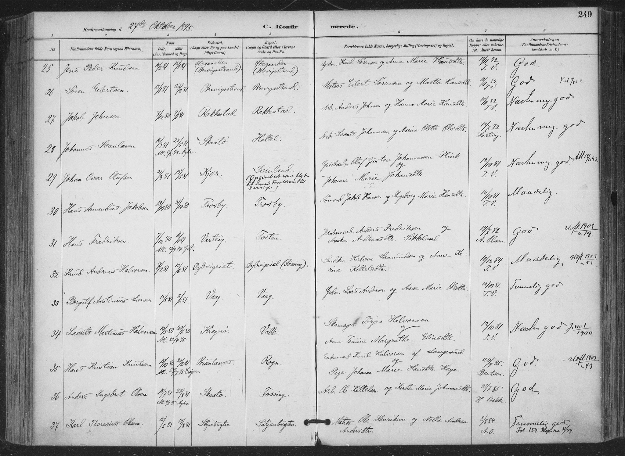 Bamble kirkebøker, AV/SAKO-A-253/F/Fa/L0008: Ministerialbok nr. I 8, 1888-1900, s. 249