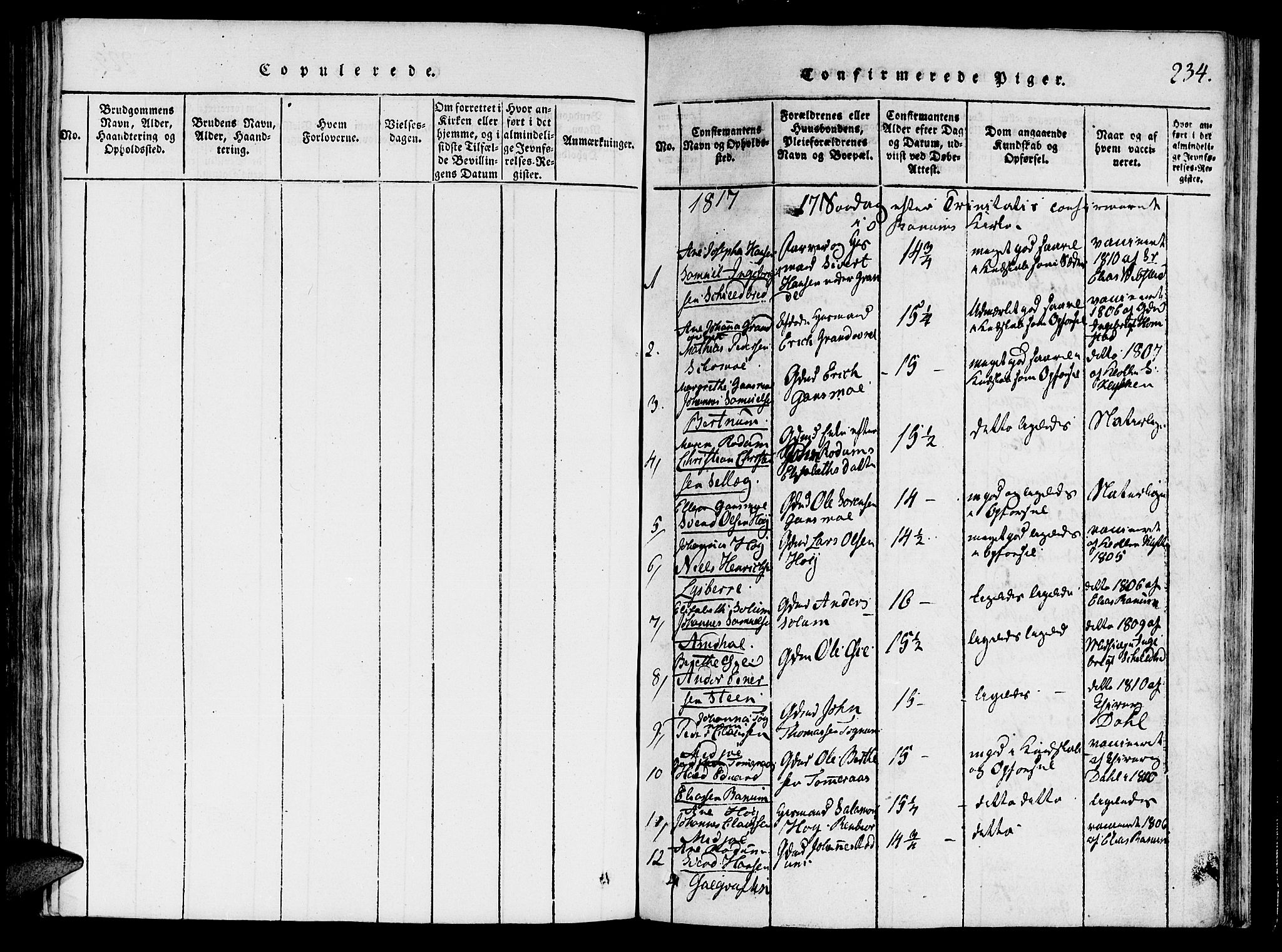 Ministerialprotokoller, klokkerbøker og fødselsregistre - Nord-Trøndelag, SAT/A-1458/764/L0546: Ministerialbok nr. 764A06 /1, 1816-1823, s. 234