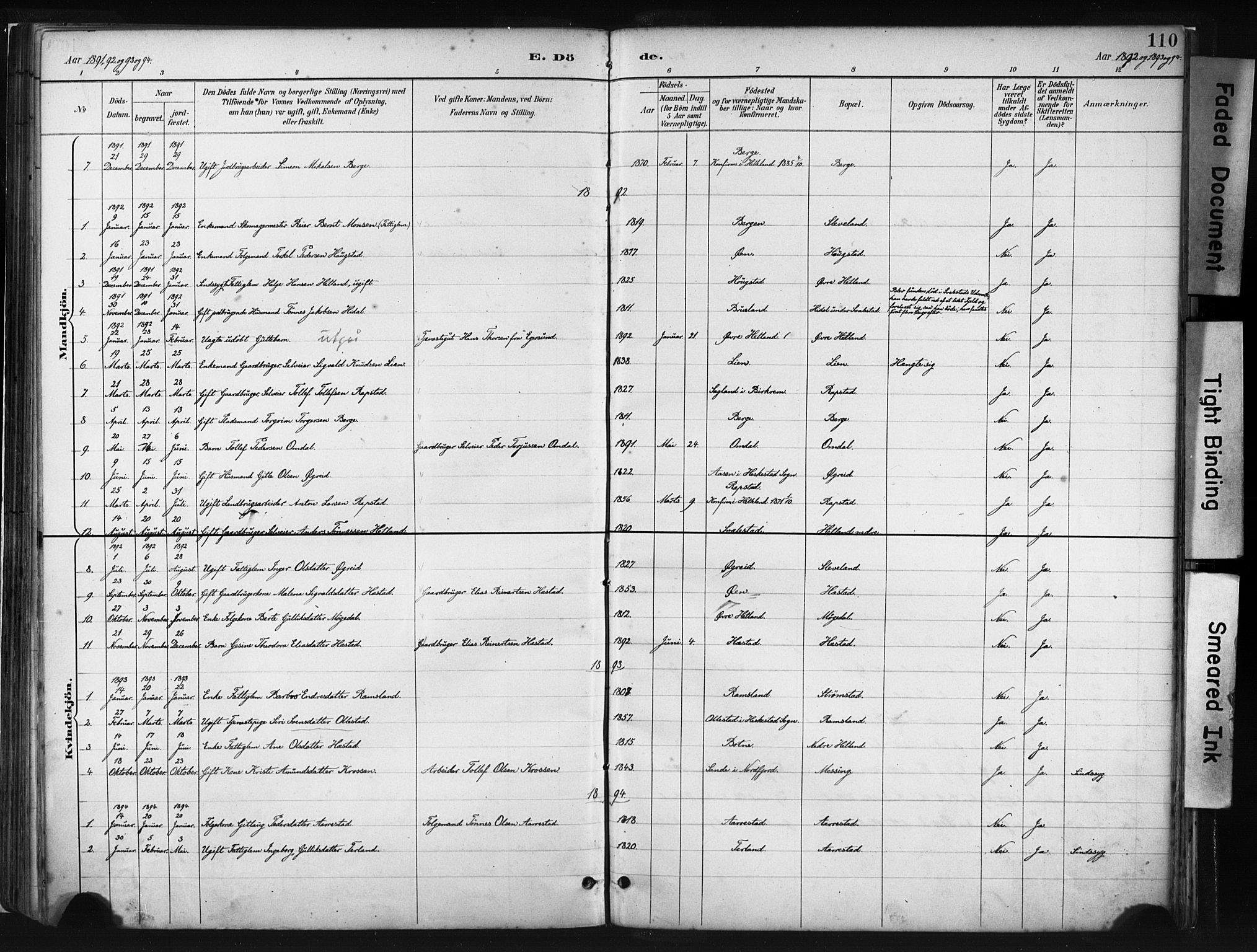 Helleland sokneprestkontor, SAST/A-101810: Ministerialbok nr. A 8, 1887-1907, s. 110