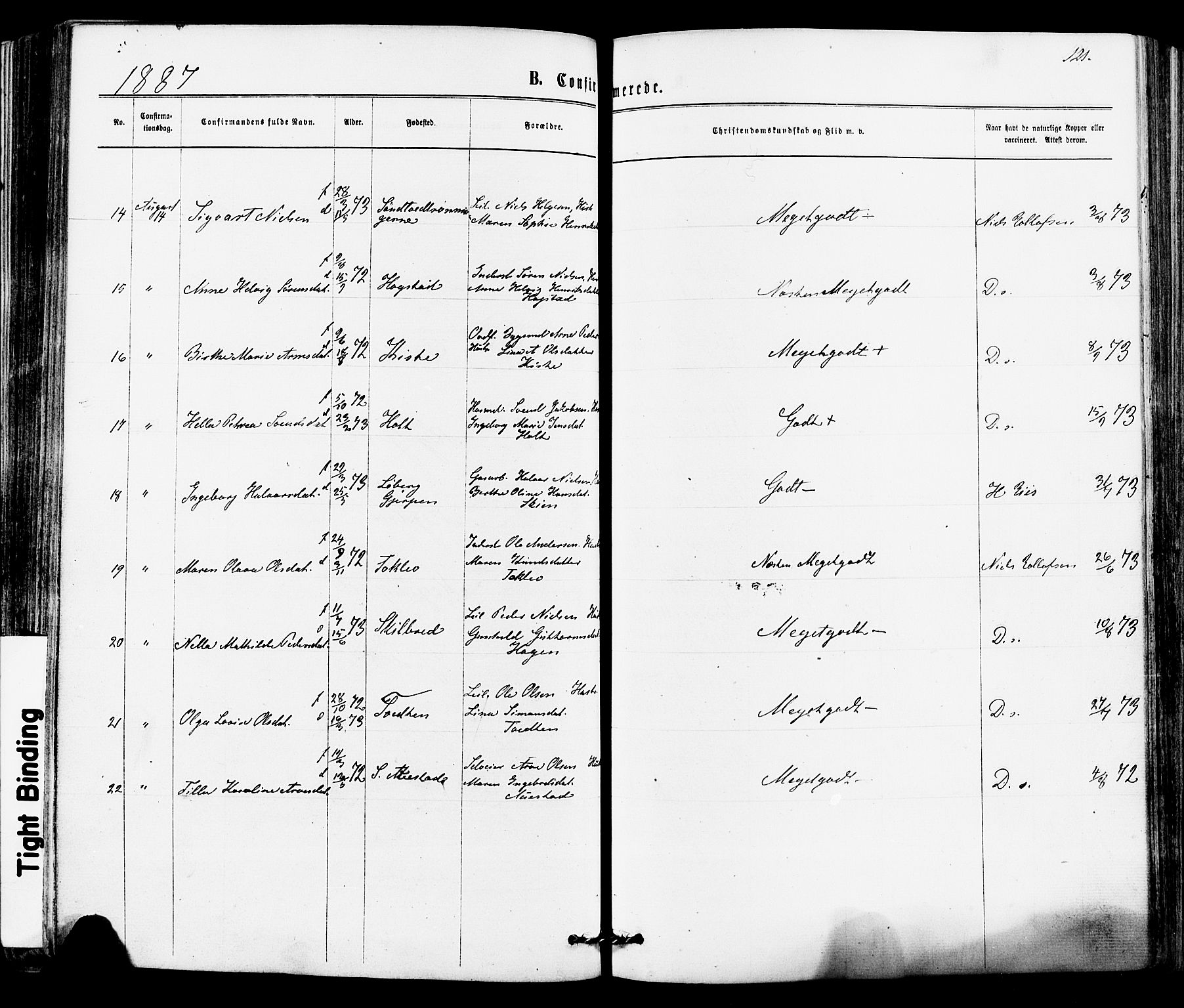 Siljan kirkebøker, SAKO/A-300/F/Fa/L0002: Ministerialbok nr. 2, 1870-1895, s. 121