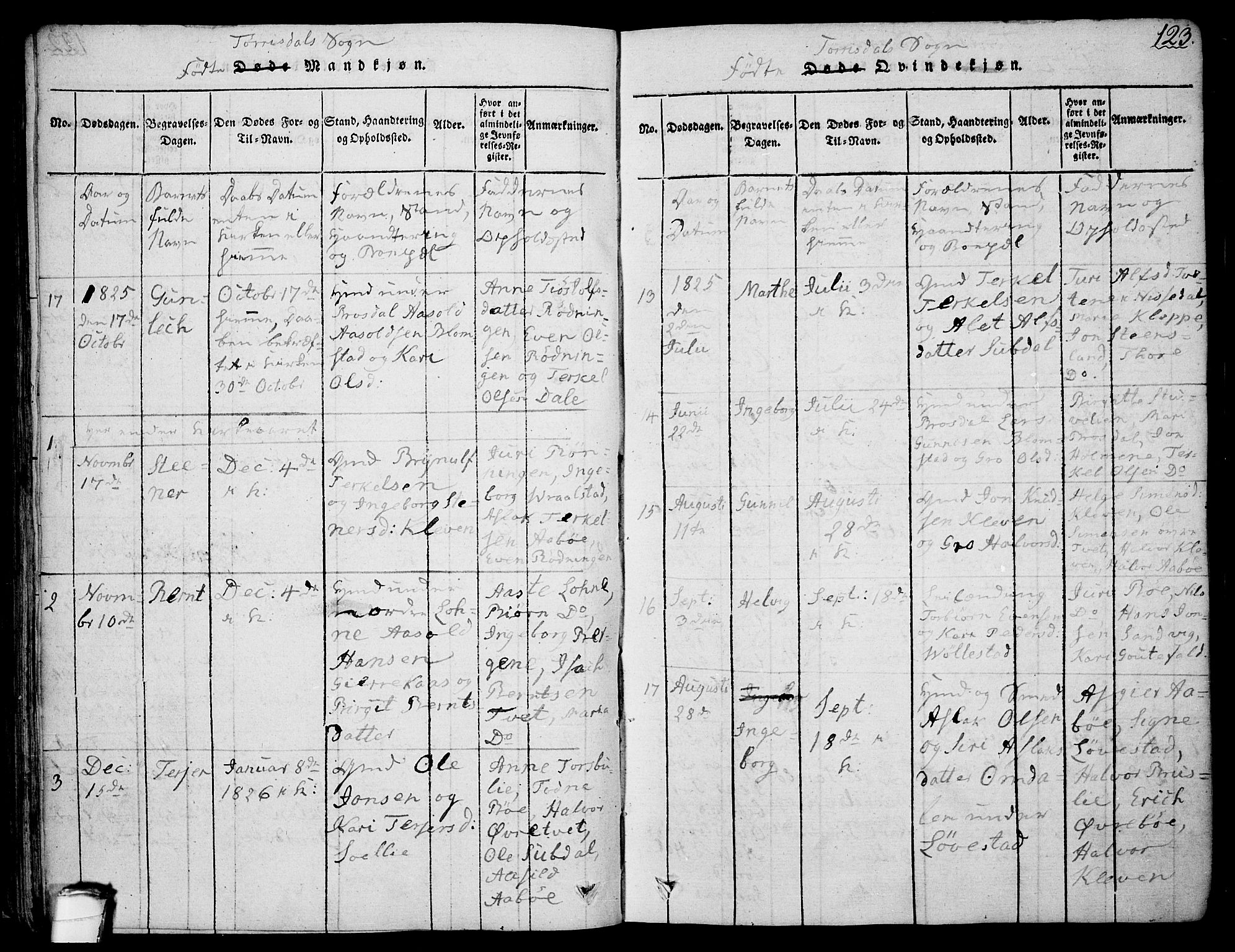 Drangedal kirkebøker, AV/SAKO-A-258/F/Fa/L0005: Ministerialbok nr. 5 /2, 1814-1831, s. 123
