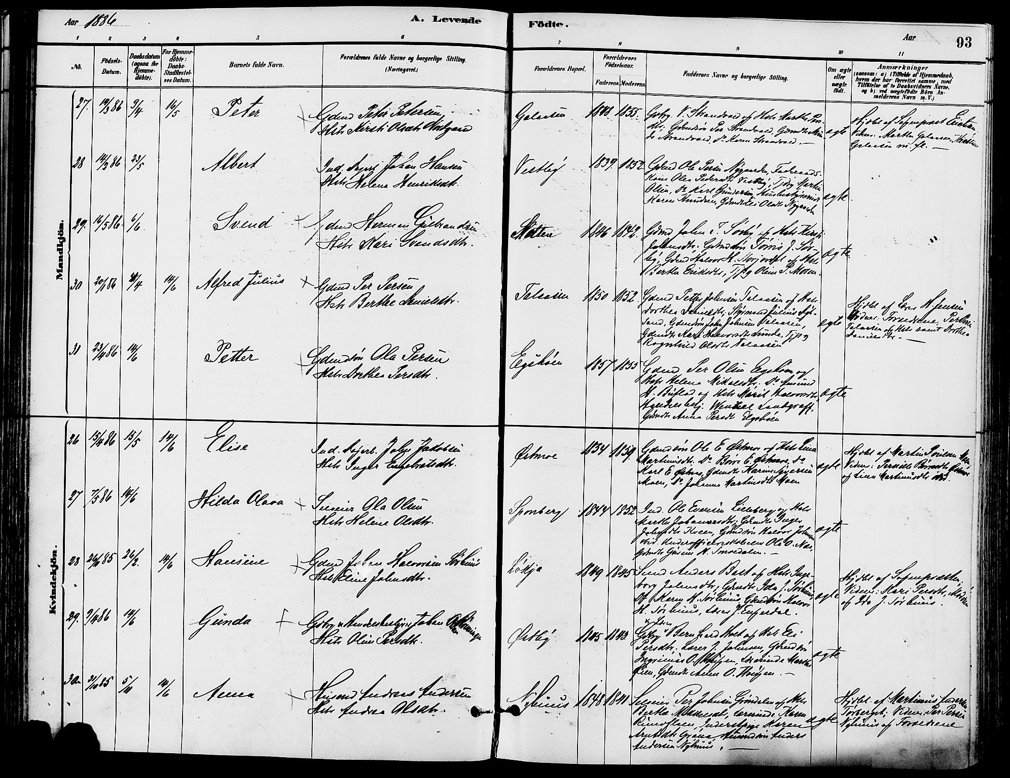 Trysil prestekontor, AV/SAH-PREST-046/H/Ha/Haa/L0008: Ministerialbok nr. 8, 1881-1897, s. 93