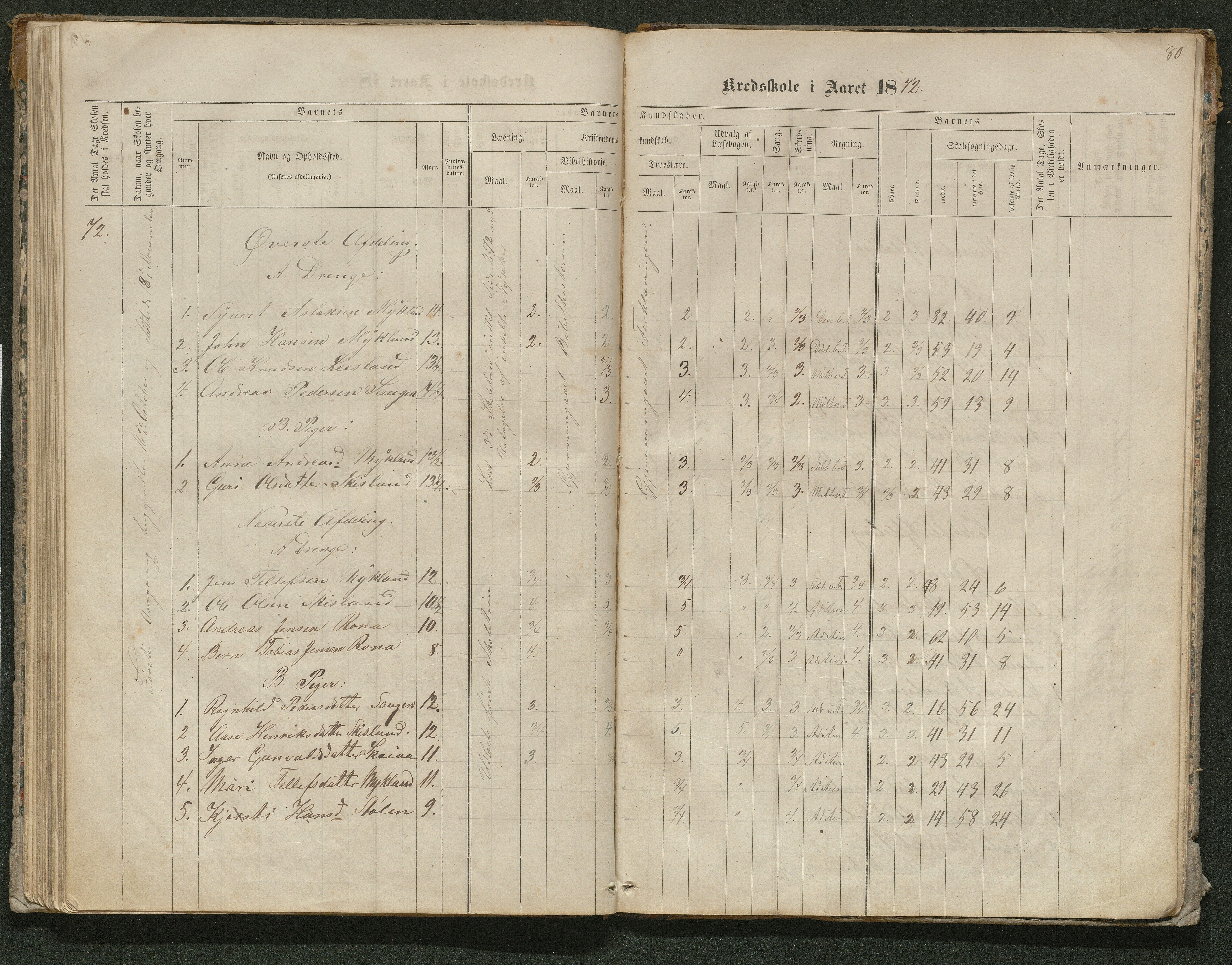 Iveland kommune, De enkelte kretsene/Skolene, AAKS/KA0935-550/A_10/L0005: Skoleprotokoll for Frøyså og Mykland krets, 1864-1881, s. 80