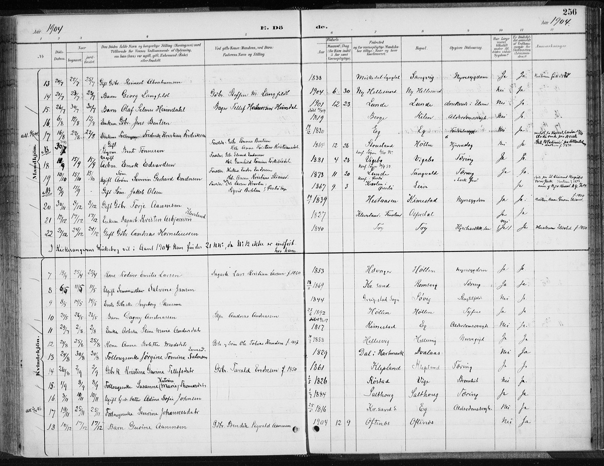 Søgne sokneprestkontor, AV/SAK-1111-0037/F/Fa/Fab/L0013: Ministerialbok nr. A 13, 1892-1911, s. 256