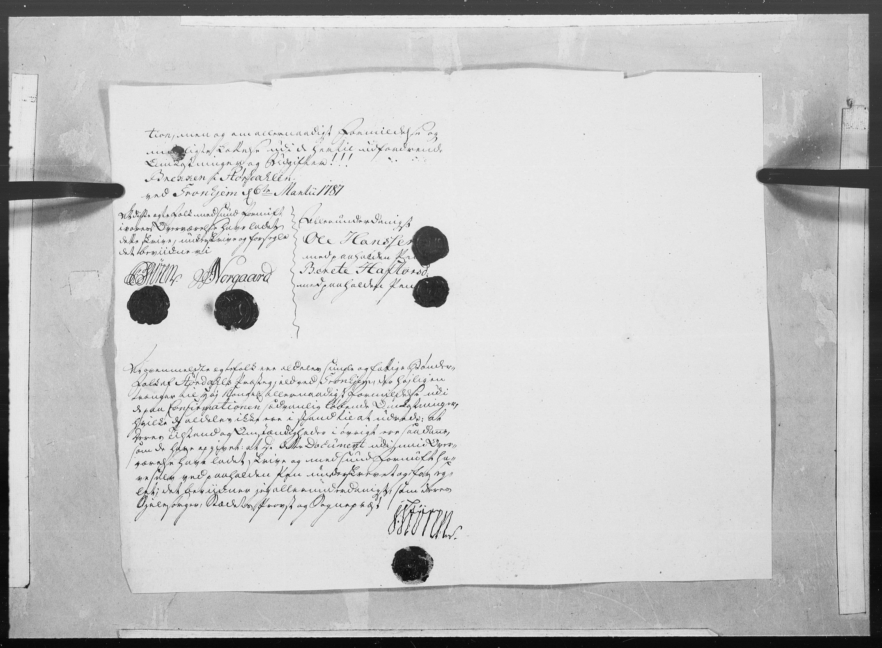 Danske Kanselli 1572-1799, AV/RA-EA-3023/F/Fc/Fcc/Fcca/L0265: Norske innlegg 1572-1799, 1787, s. 8