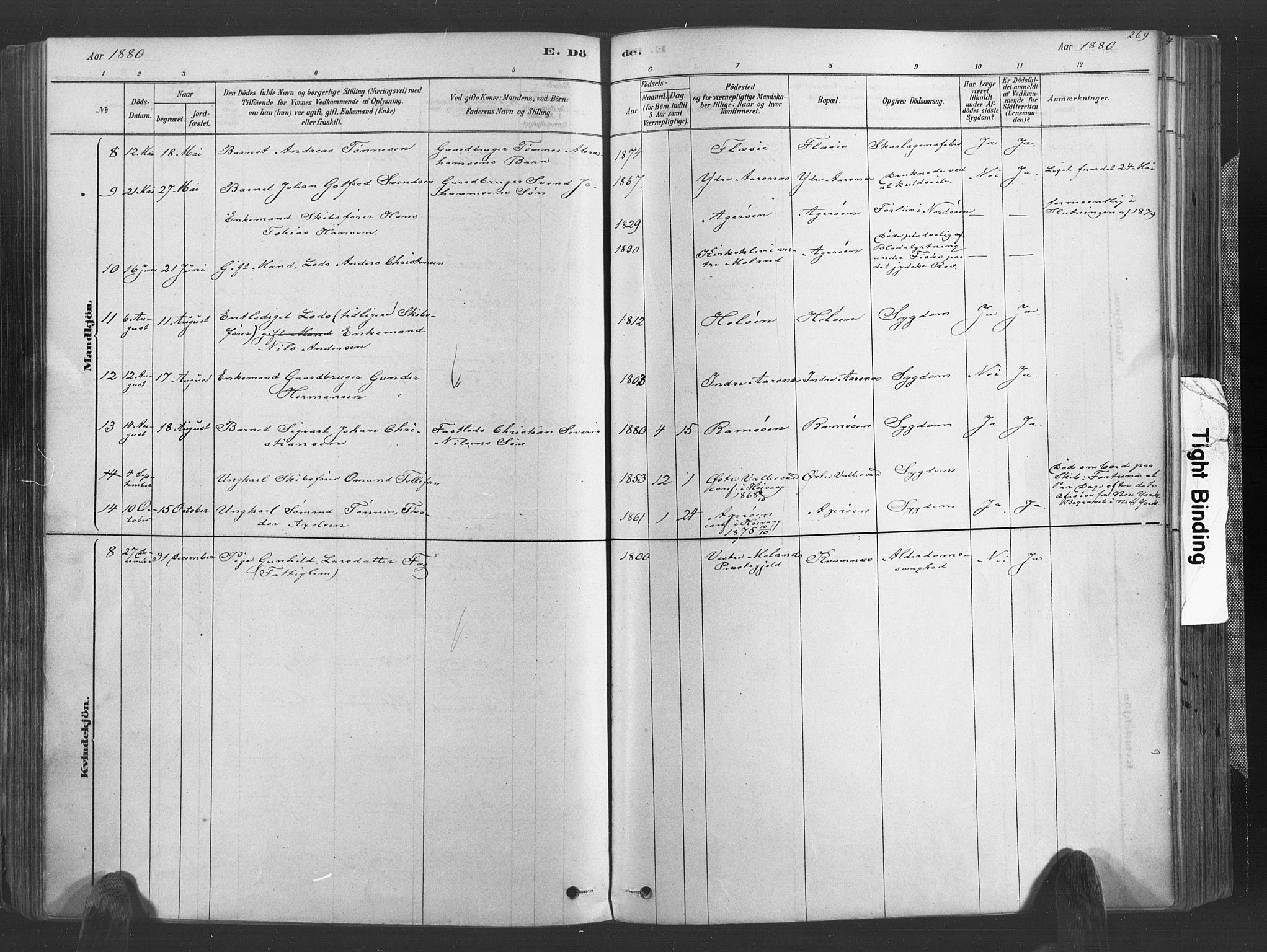 Høvåg sokneprestkontor, AV/SAK-1111-0025/F/Fa/L0005: Ministerialbok nr. A 5, 1878-1893, s. 269