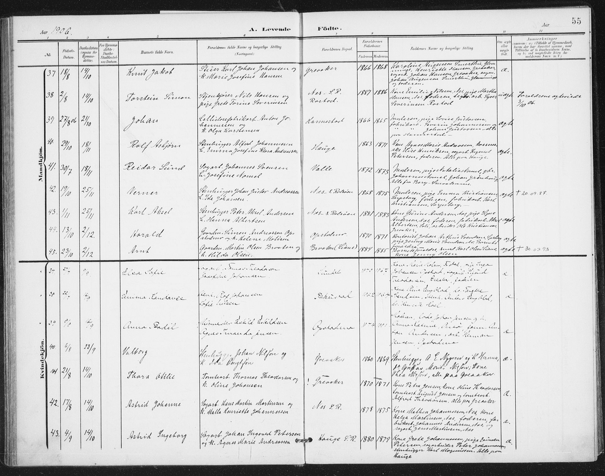 Rolvsøy prestekontor Kirkebøker, AV/SAO-A-2004/F/Fa/L0001: Ministerialbok nr. 1, 1901-1909, s. 55
