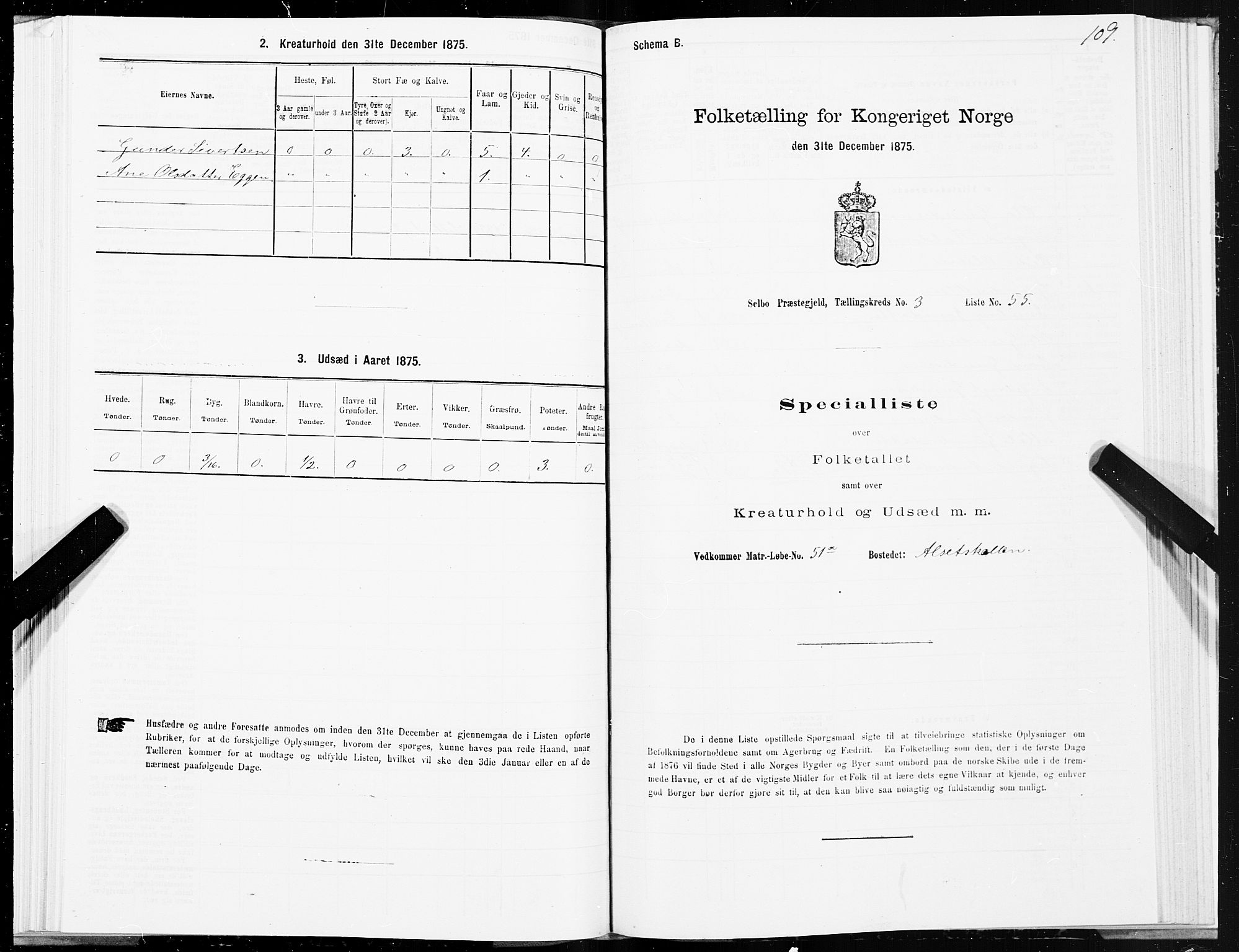 SAT, Folketelling 1875 for 1664P Selbu prestegjeld, 1875, s. 2109