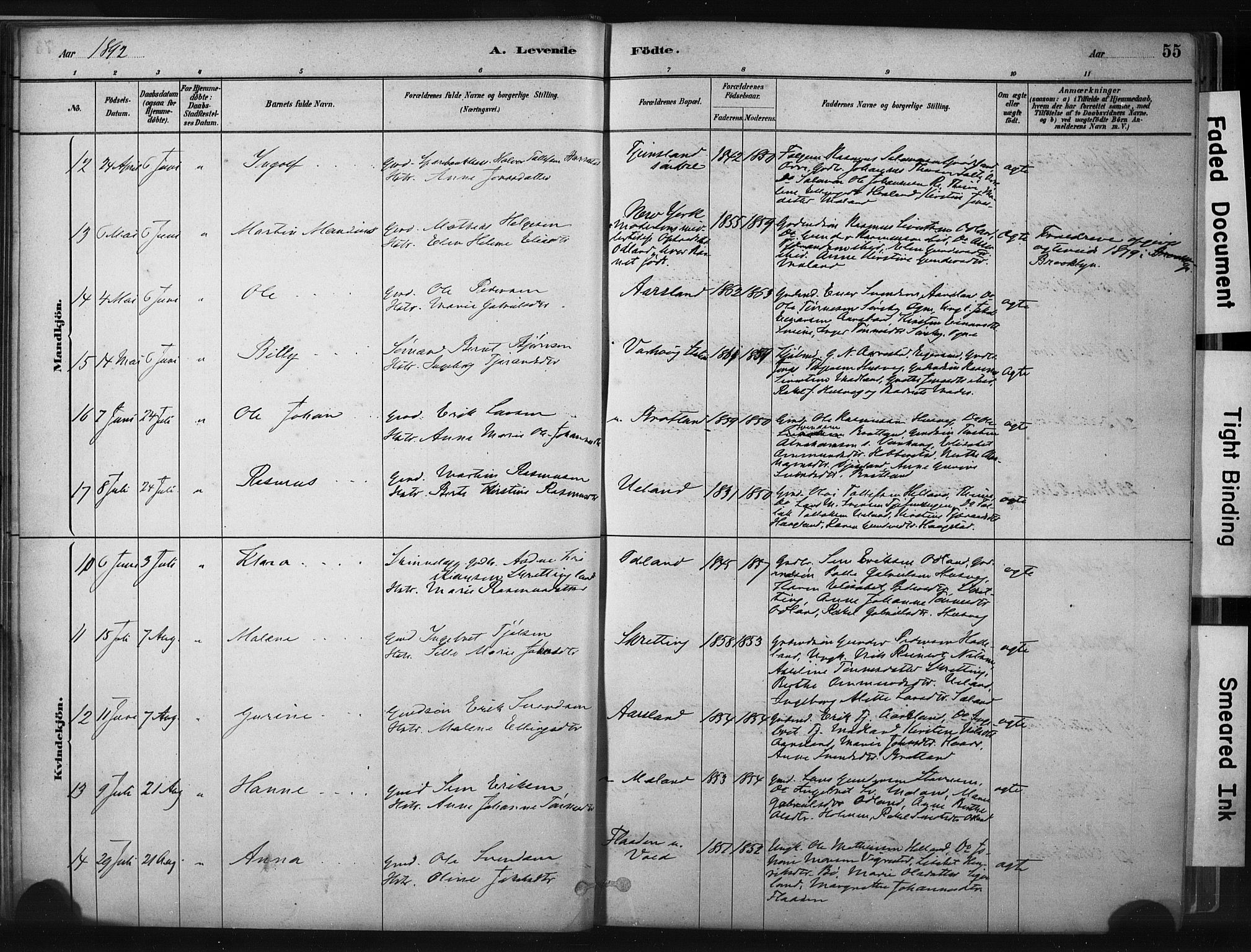 Hå sokneprestkontor, AV/SAST-A-101801/001/30BA/L0011: Ministerialbok nr. A 10, 1879-1900, s. 55