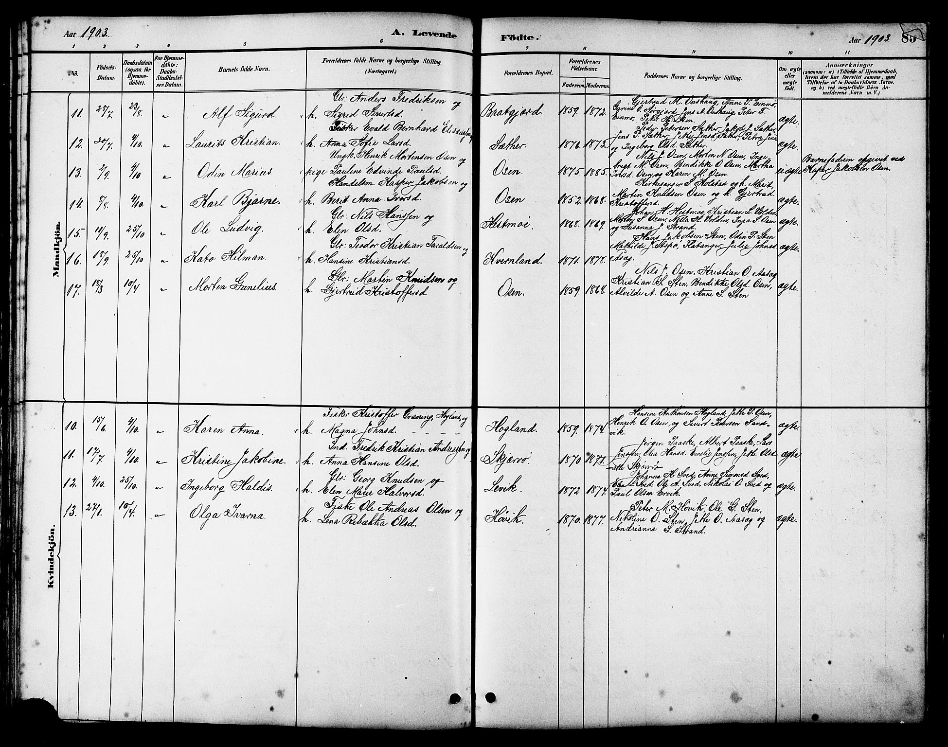 Ministerialprotokoller, klokkerbøker og fødselsregistre - Sør-Trøndelag, SAT/A-1456/658/L0726: Klokkerbok nr. 658C02, 1883-1908, s. 85