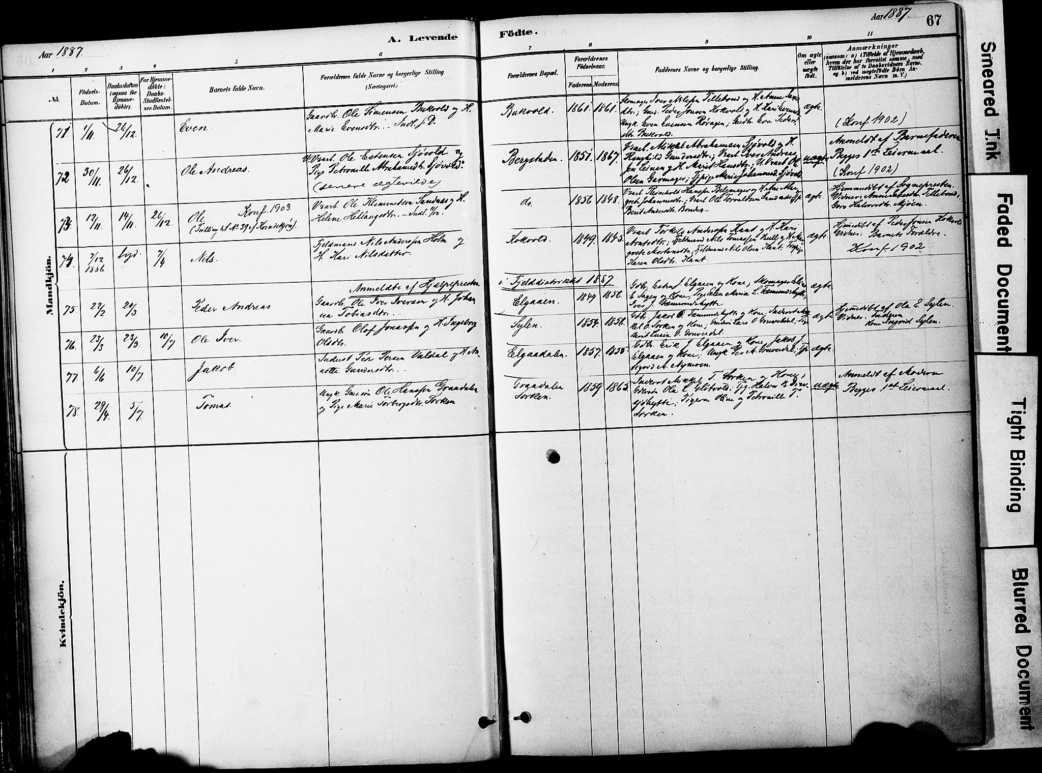 Ministerialprotokoller, klokkerbøker og fødselsregistre - Sør-Trøndelag, AV/SAT-A-1456/681/L0933: Ministerialbok nr. 681A11, 1879-1890, s. 67