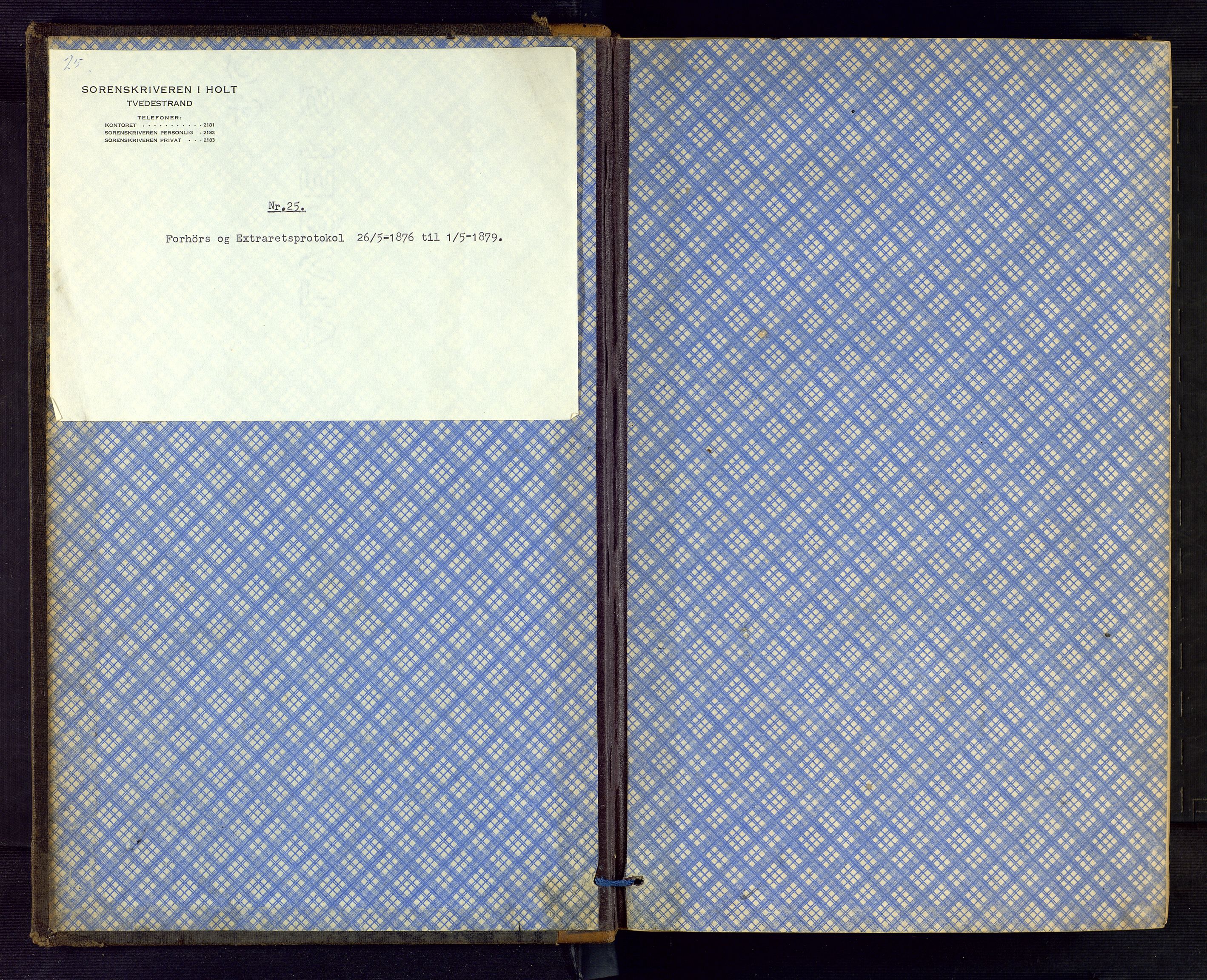 Holt sorenskriveri, SAK/1221-0002/F/Fb/L0004: Ekstraretts- og forhørsrettsprotokoll nr 4, 1876-1879