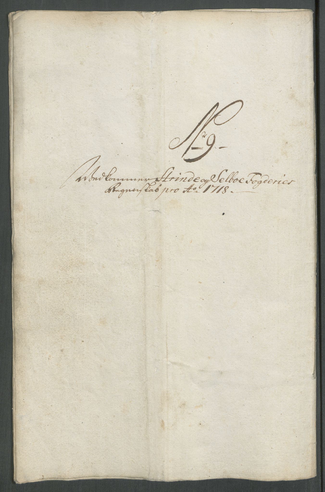 Rentekammeret inntil 1814, Reviderte regnskaper, Fogderegnskap, RA/EA-4092/R61/L4116: Fogderegnskap Strinda og Selbu, 1717-1718, s. 398