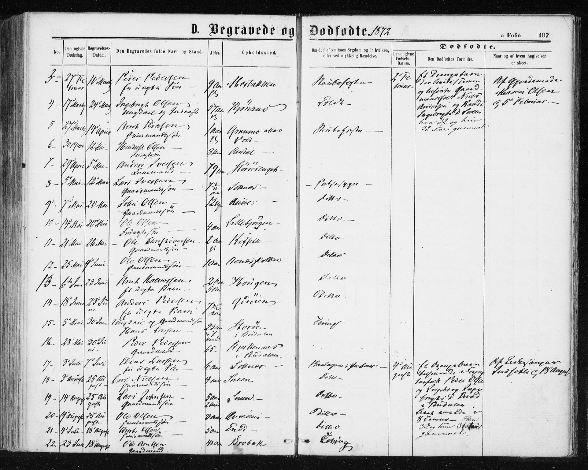 Ministerialprotokoller, klokkerbøker og fødselsregistre - Sør-Trøndelag, AV/SAT-A-1456/687/L1001: Ministerialbok nr. 687A07, 1863-1878, s. 197