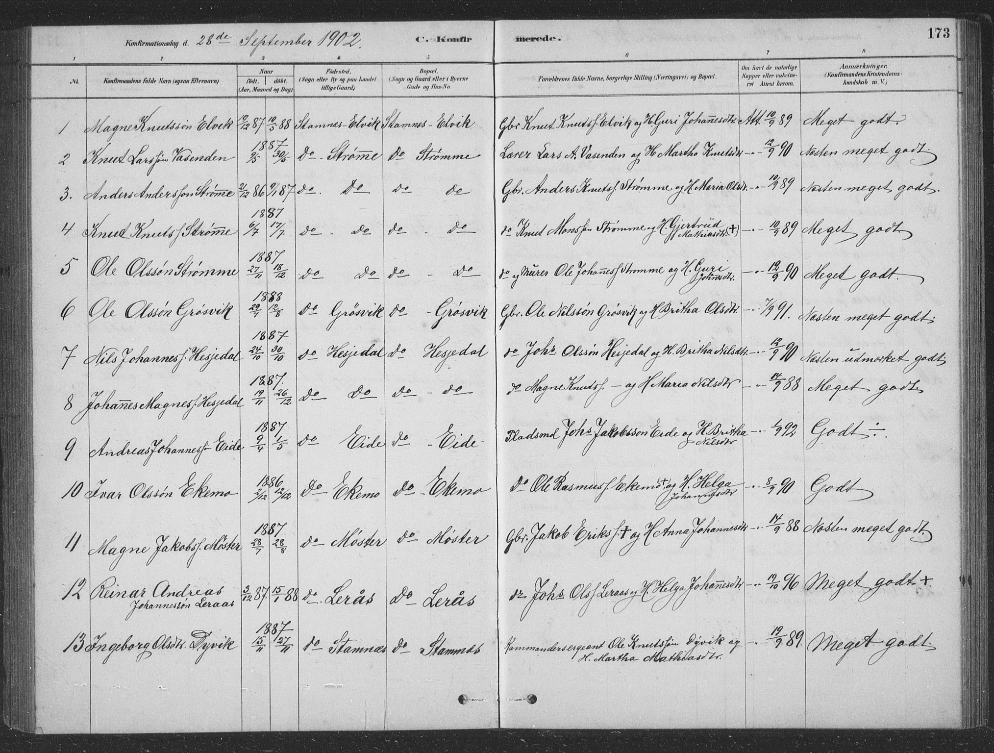 Vaksdal Sokneprestembete, AV/SAB-A-78901/H/Hab: Klokkerbok nr. D 1, 1878-1939, s. 173