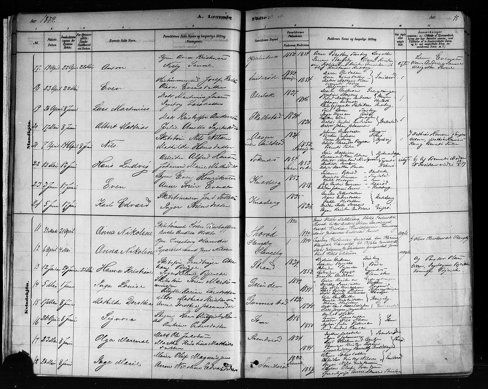 Nøtterøy kirkebøker, AV/SAKO-A-354/F/Fa/L0008: Ministerialbok nr. I 8, 1878-1893, s. 15