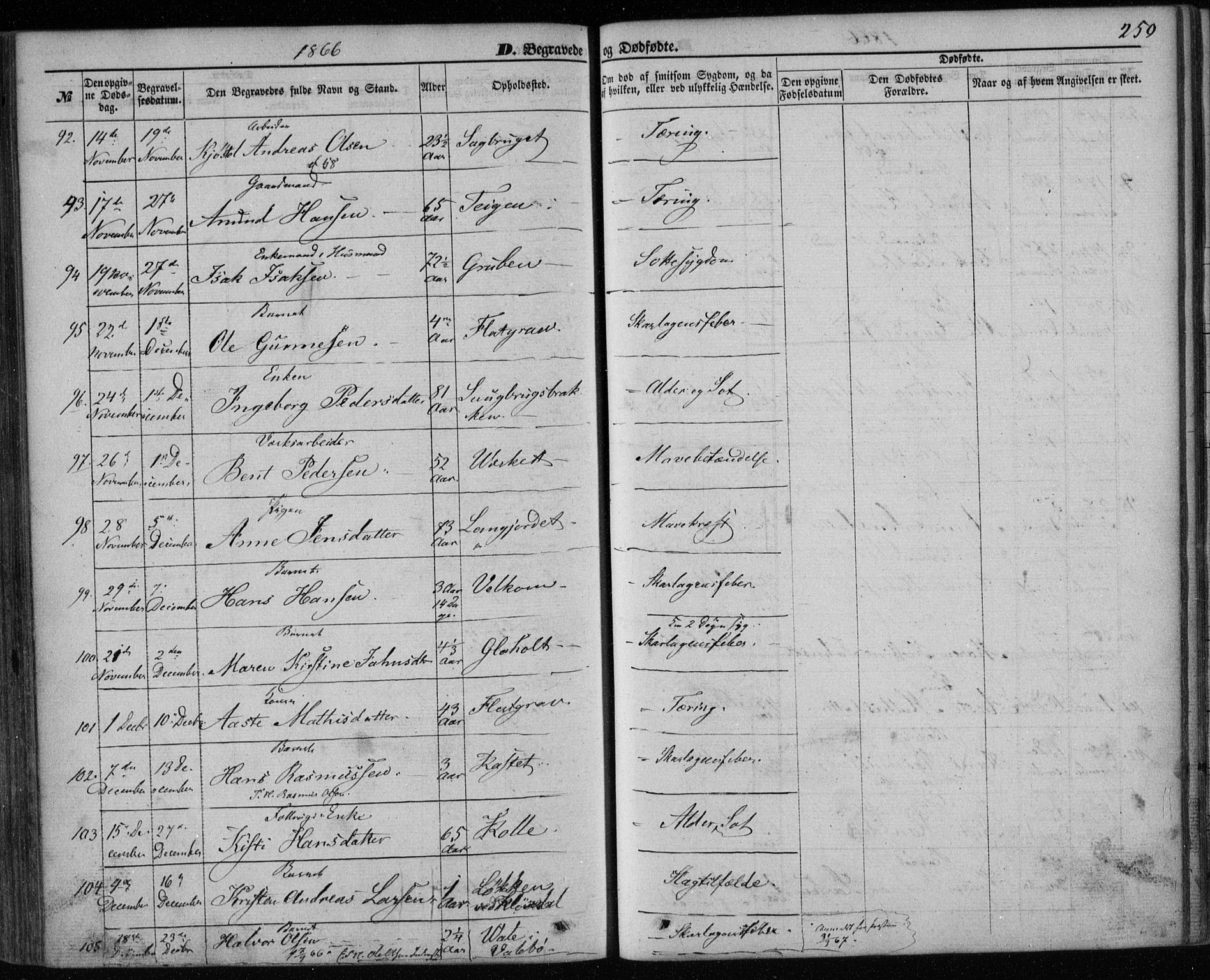 Holla kirkebøker, AV/SAKO-A-272/F/Fa/L0006: Ministerialbok nr. 6, 1861-1869, s. 250