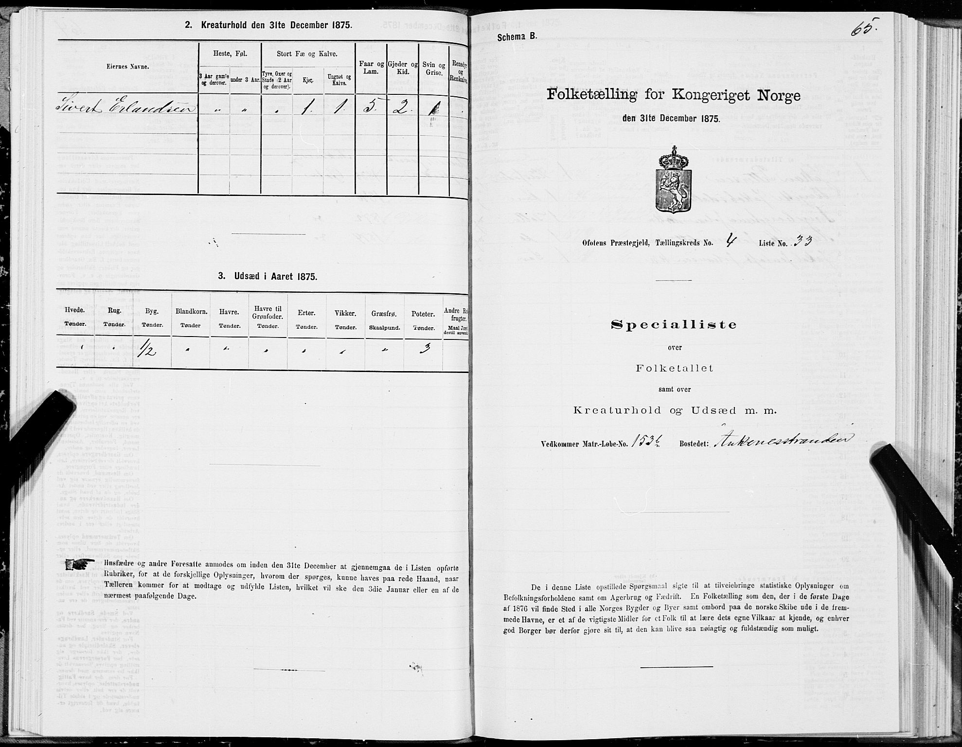 SAT, Folketelling 1875 for 1853P Ofoten prestegjeld, 1875, s. 3065