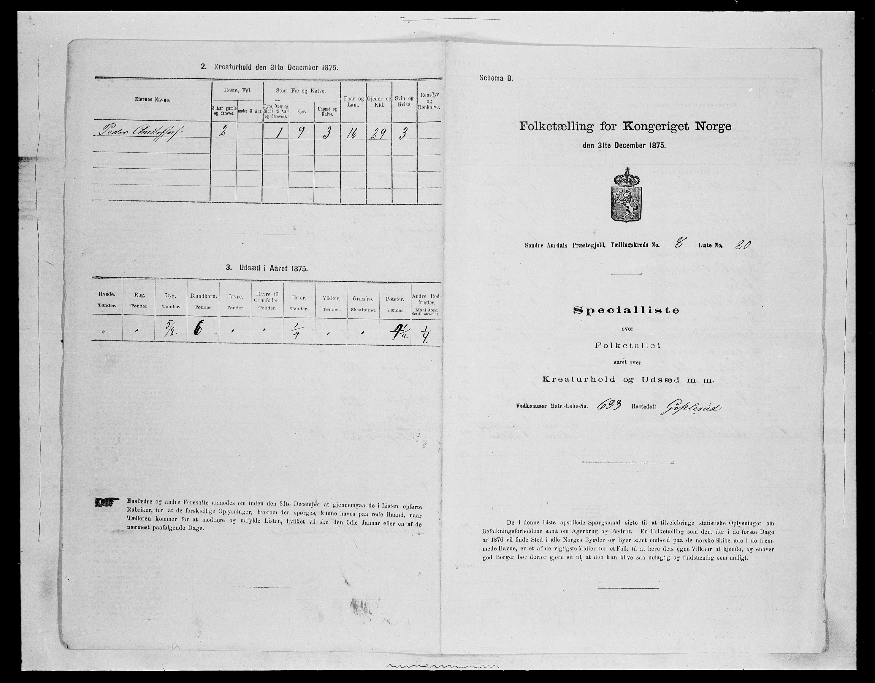 SAH, Folketelling 1875 for 0540P Sør-Aurdal prestegjeld, 1875, s. 1447