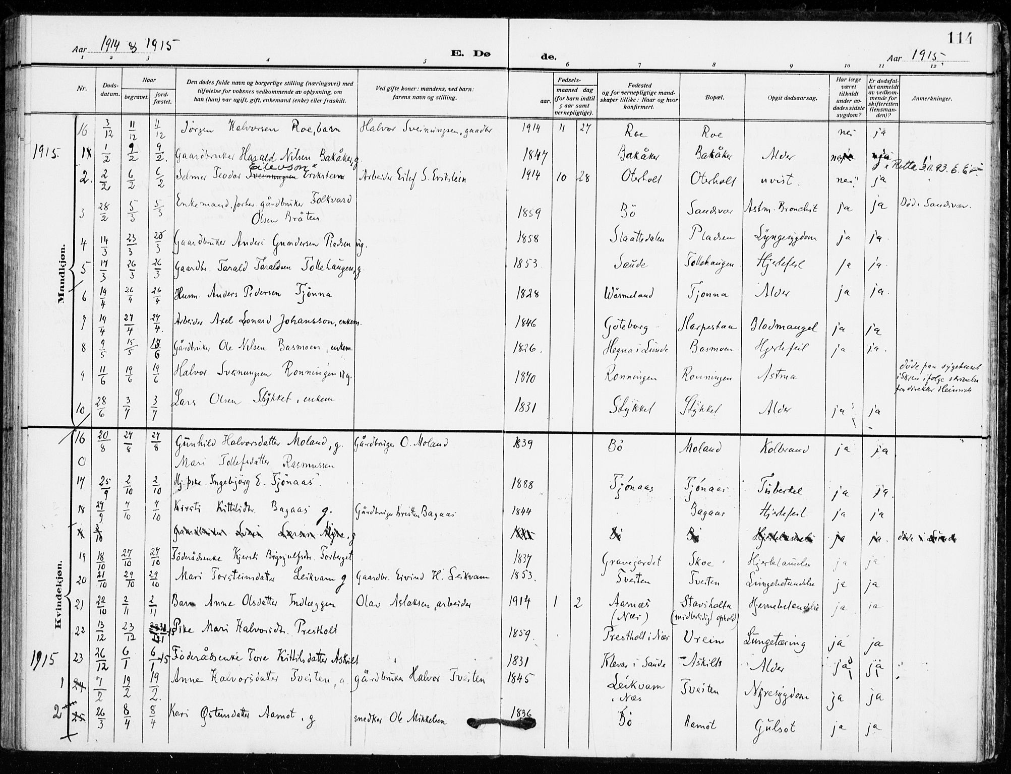 Bø kirkebøker, AV/SAKO-A-257/F/Fa/L0013: Ministerialbok nr. 13, 1909-1921, s. 114