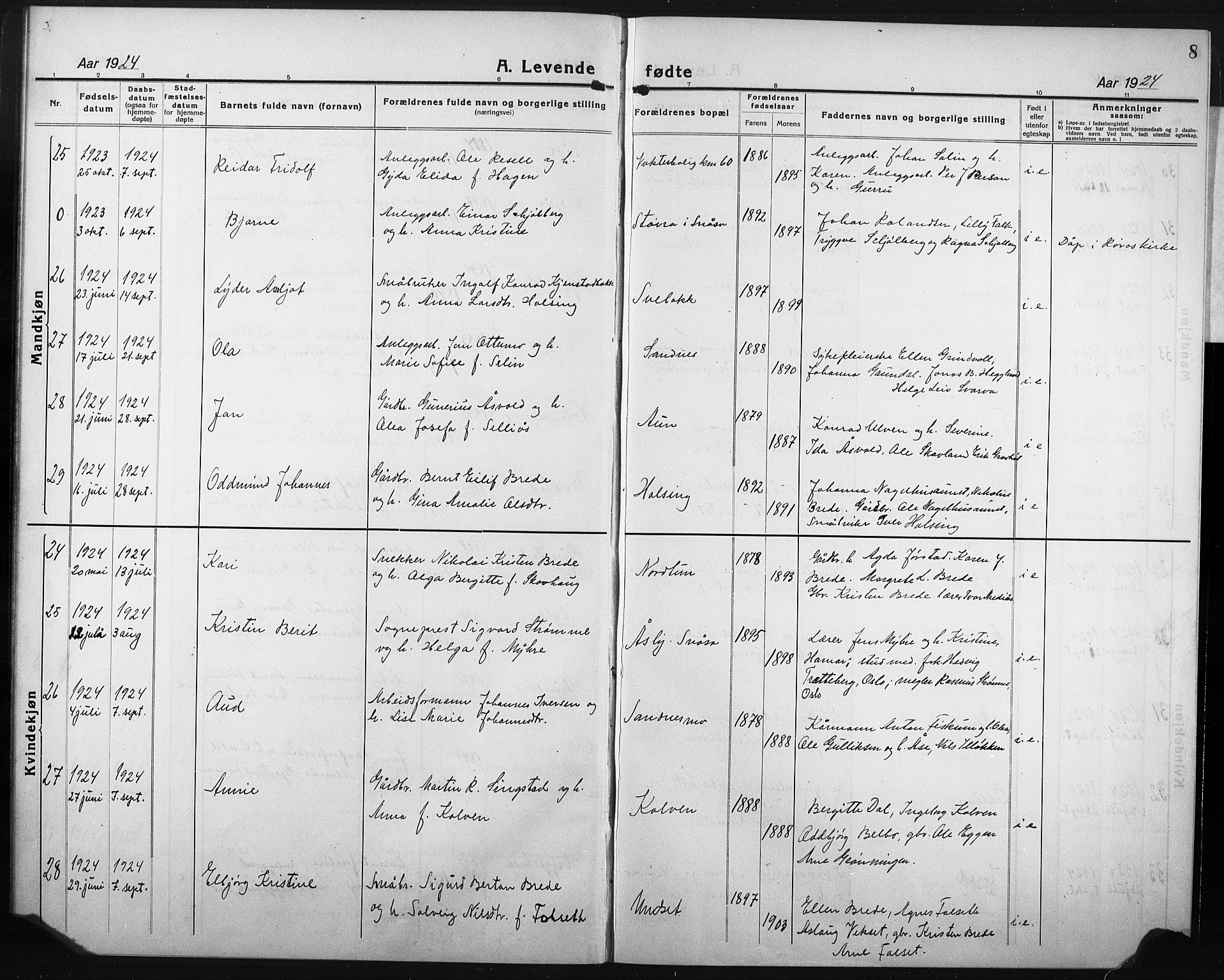 Ministerialprotokoller, klokkerbøker og fødselsregistre - Nord-Trøndelag, AV/SAT-A-1458/749/L0480: Klokkerbok nr. 749C02, 1924-1932, s. 8