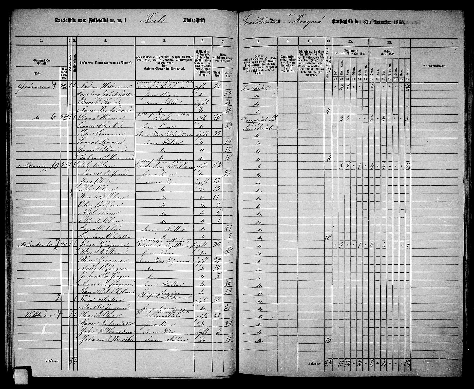 RA, Folketelling 1865 for 0816L Kragerø prestegjeld, Sannidal sokn og Skåtøy sokn, 1865, s. 58