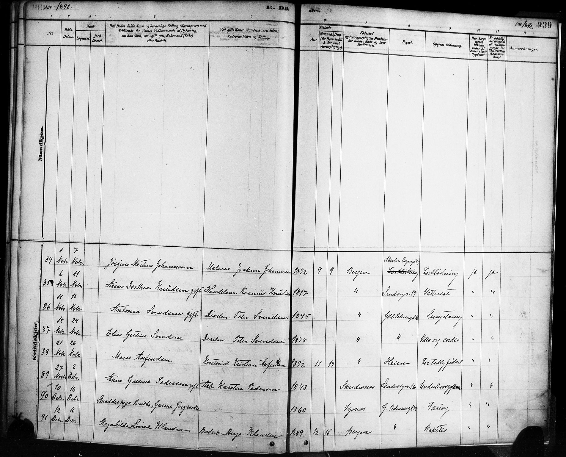 Sandviken Sokneprestembete, AV/SAB-A-77601/H/Ha/L0002: Ministerialbok nr. A 2, 1878-1896, s. 339