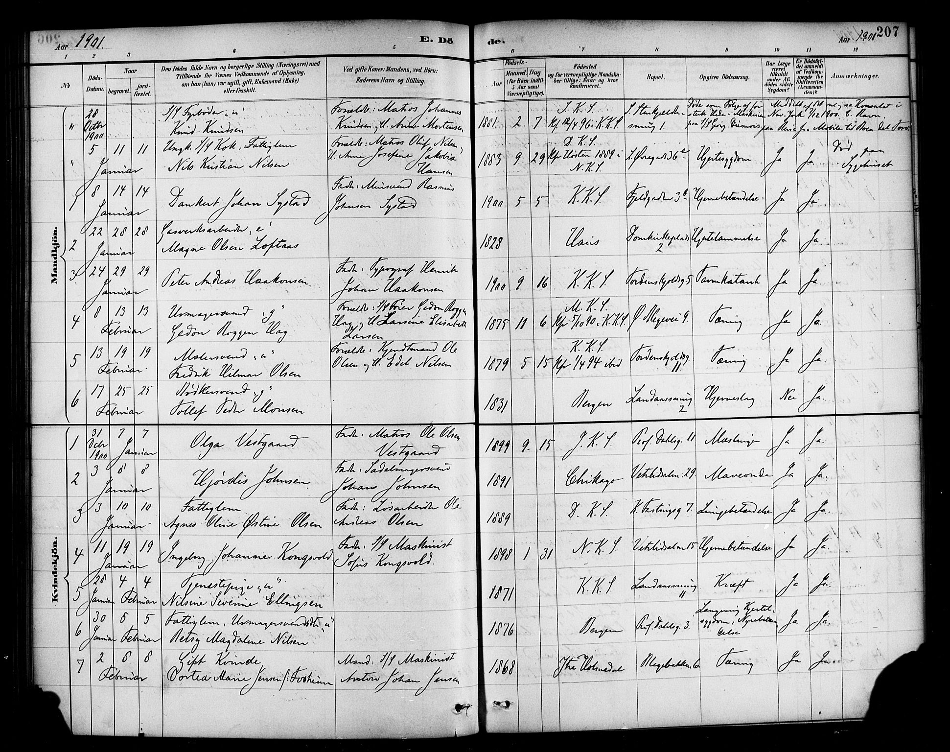 Korskirken sokneprestembete, AV/SAB-A-76101/H/Haa/L0047: Ministerialbok nr. E 5, 1884-1910, s. 207