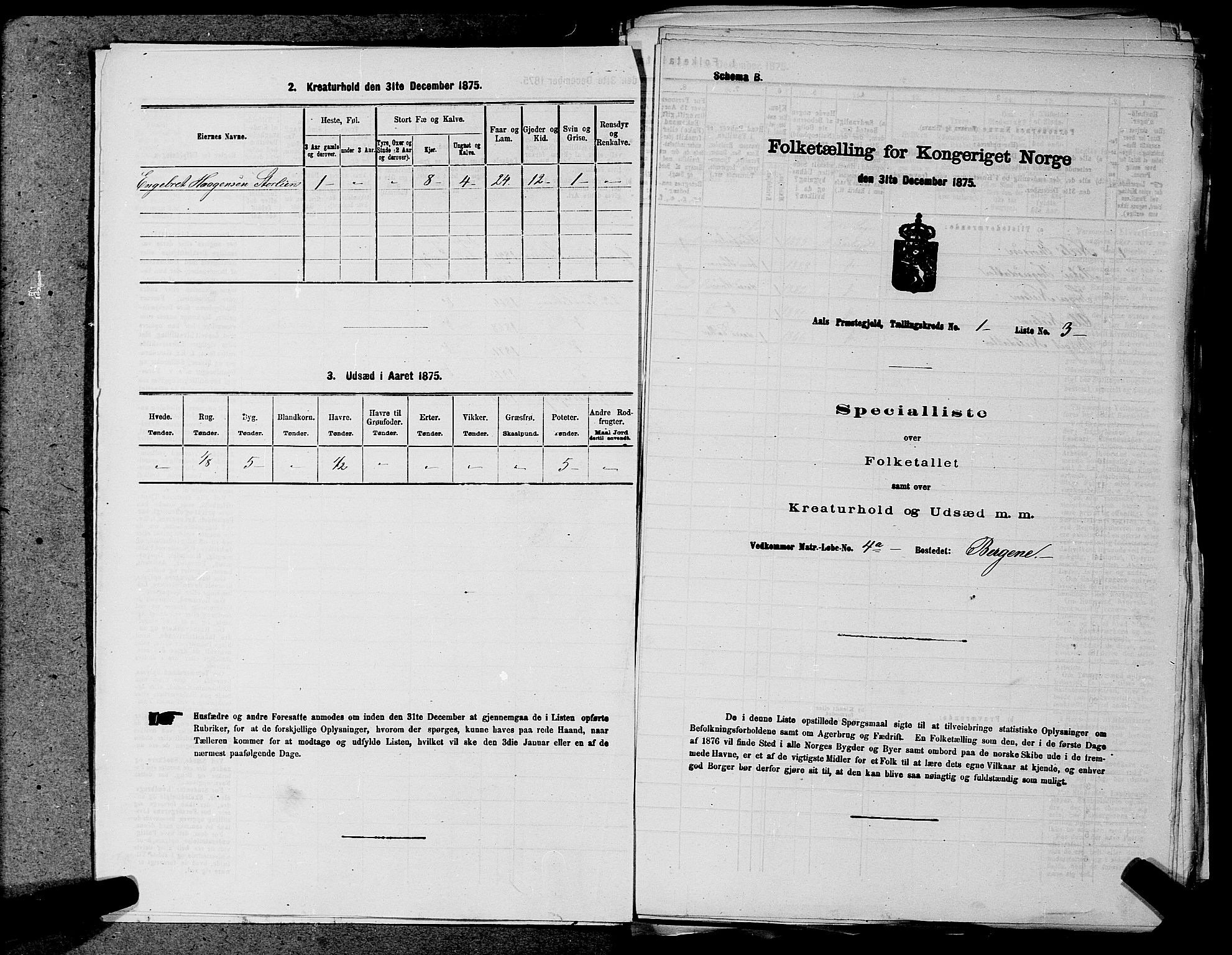 SAKO, Folketelling 1875 for 0619P Ål prestegjeld, 1875, s. 24