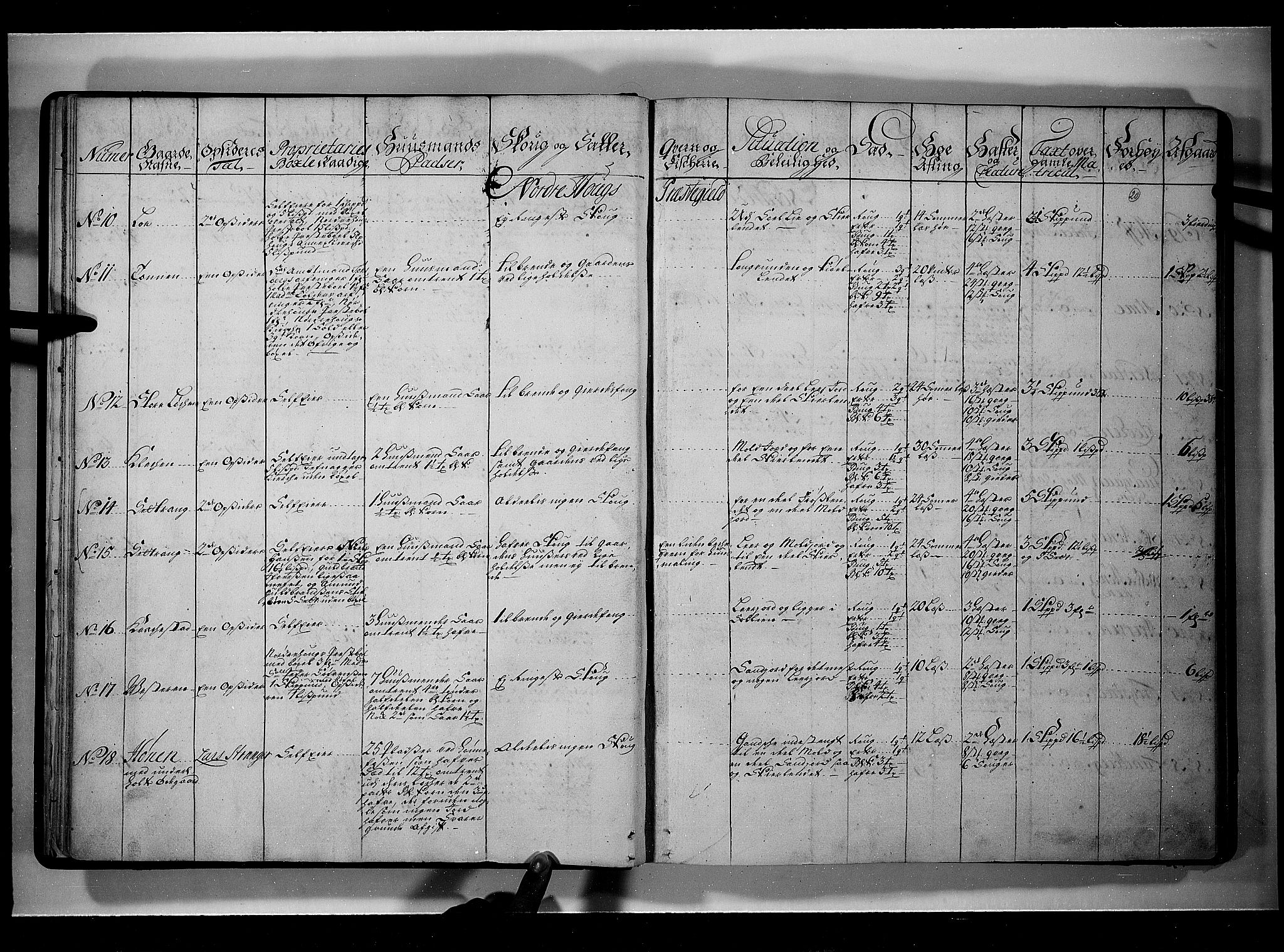 Rentekammeret inntil 1814, Realistisk ordnet avdeling, AV/RA-EA-4070/N/Nb/Nbf/L0109: Ringerike og Hallingdal eksaminasjonsprotokoll, 1723, s. 19b-20a