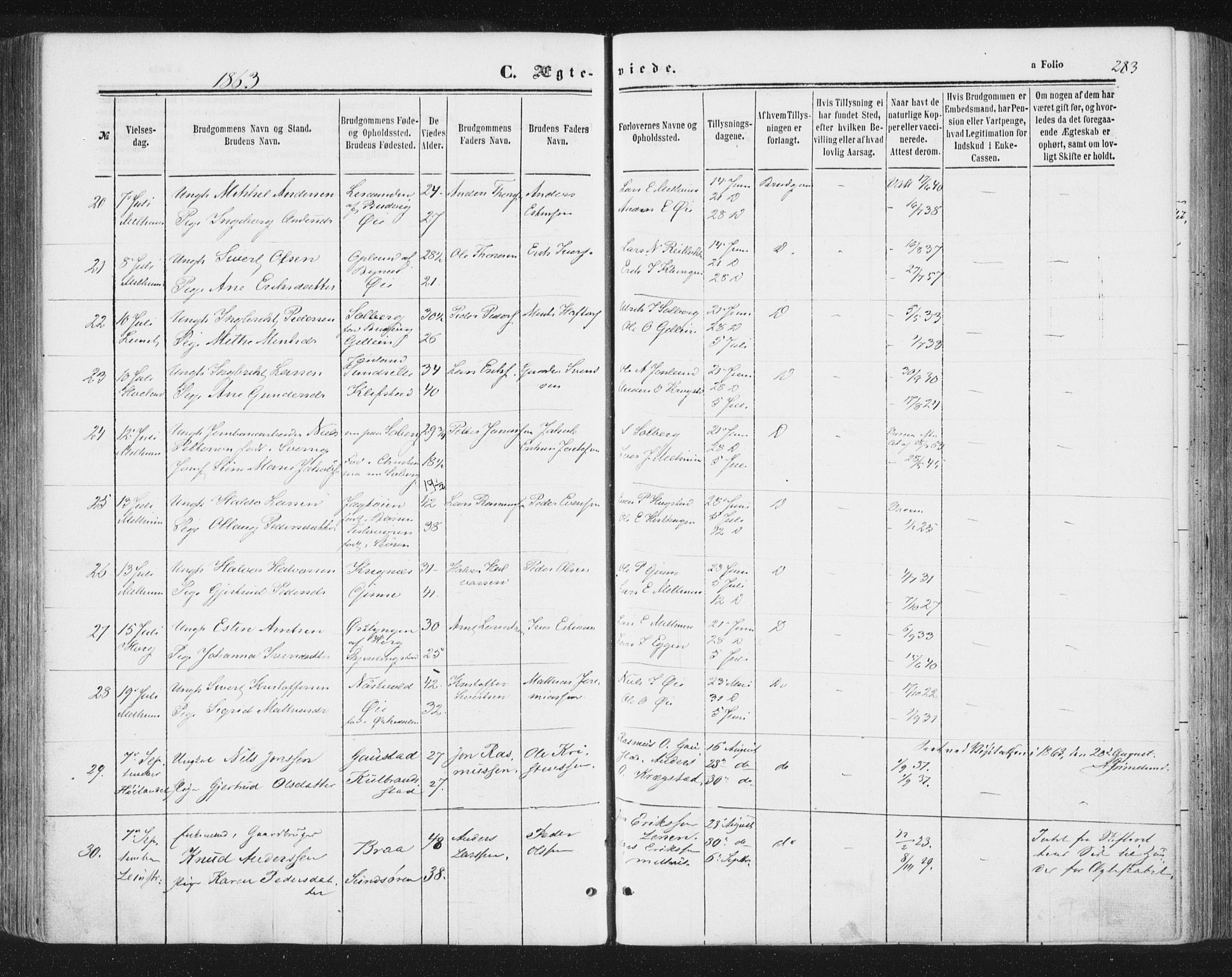 Ministerialprotokoller, klokkerbøker og fødselsregistre - Sør-Trøndelag, SAT/A-1456/691/L1077: Ministerialbok nr. 691A09, 1862-1873, s. 283