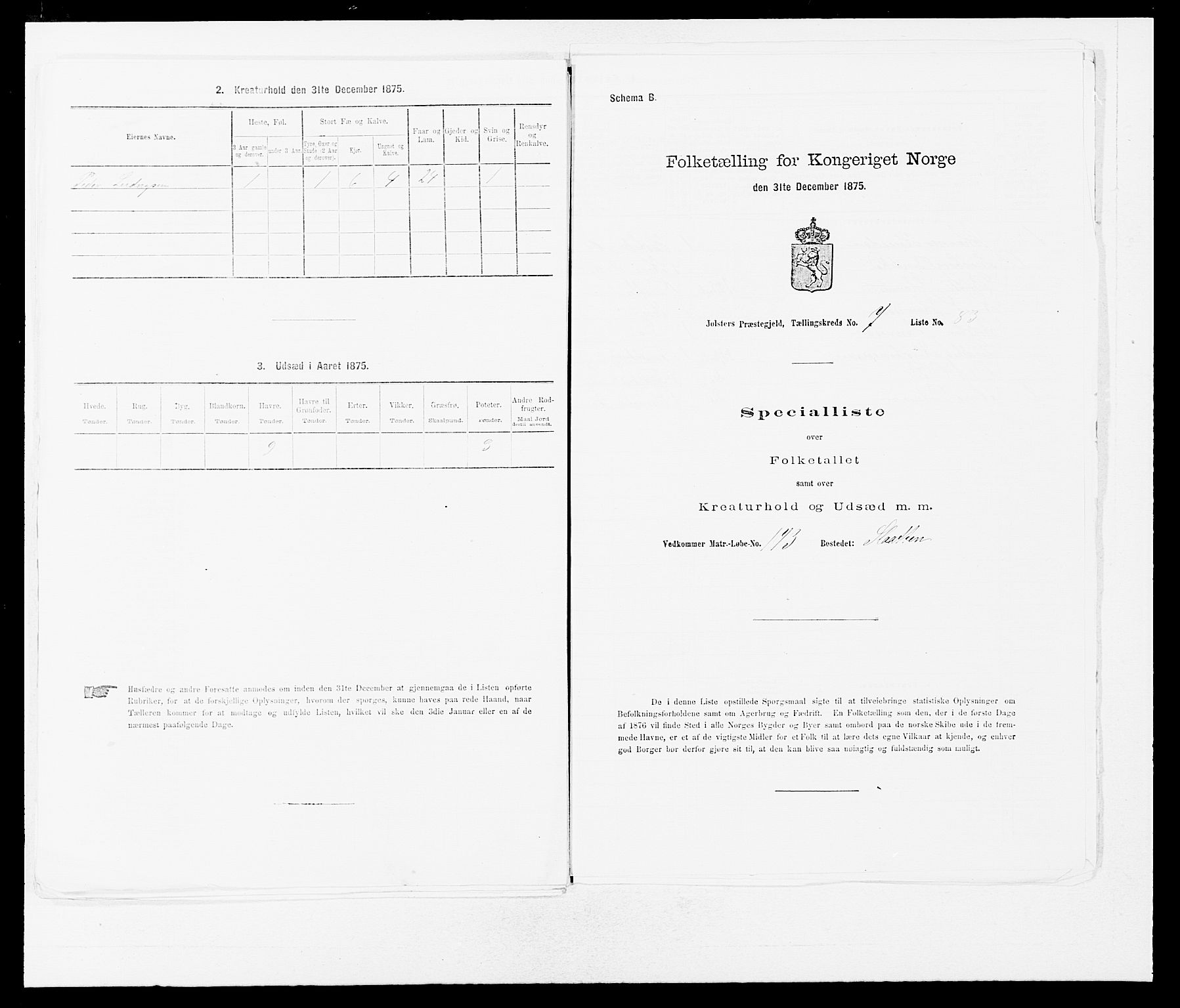 SAB, Folketelling 1875 for 1431P Jølster prestegjeld, 1875, s. 690