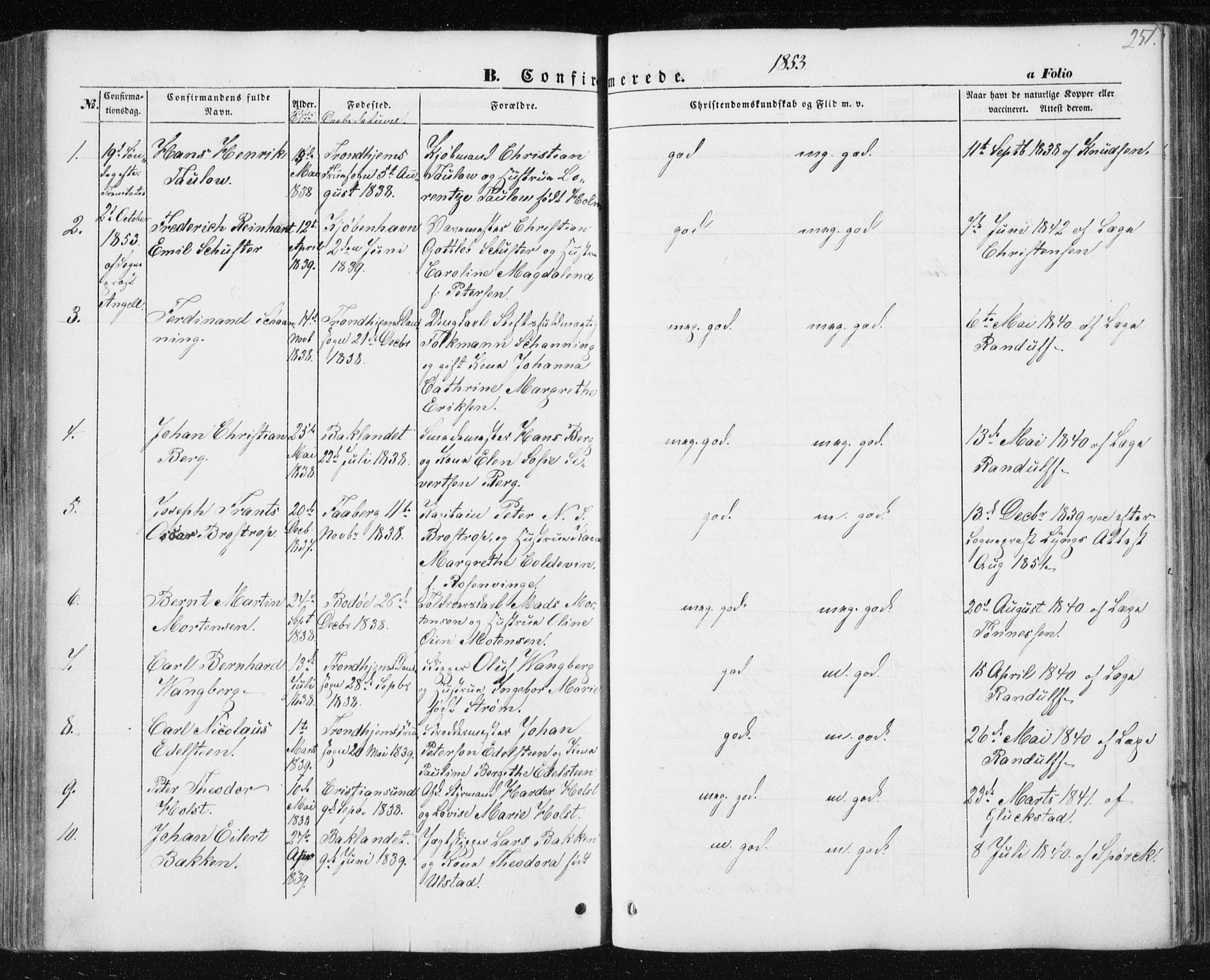 Ministerialprotokoller, klokkerbøker og fødselsregistre - Sør-Trøndelag, AV/SAT-A-1456/602/L0112: Ministerialbok nr. 602A10, 1848-1859, s. 251