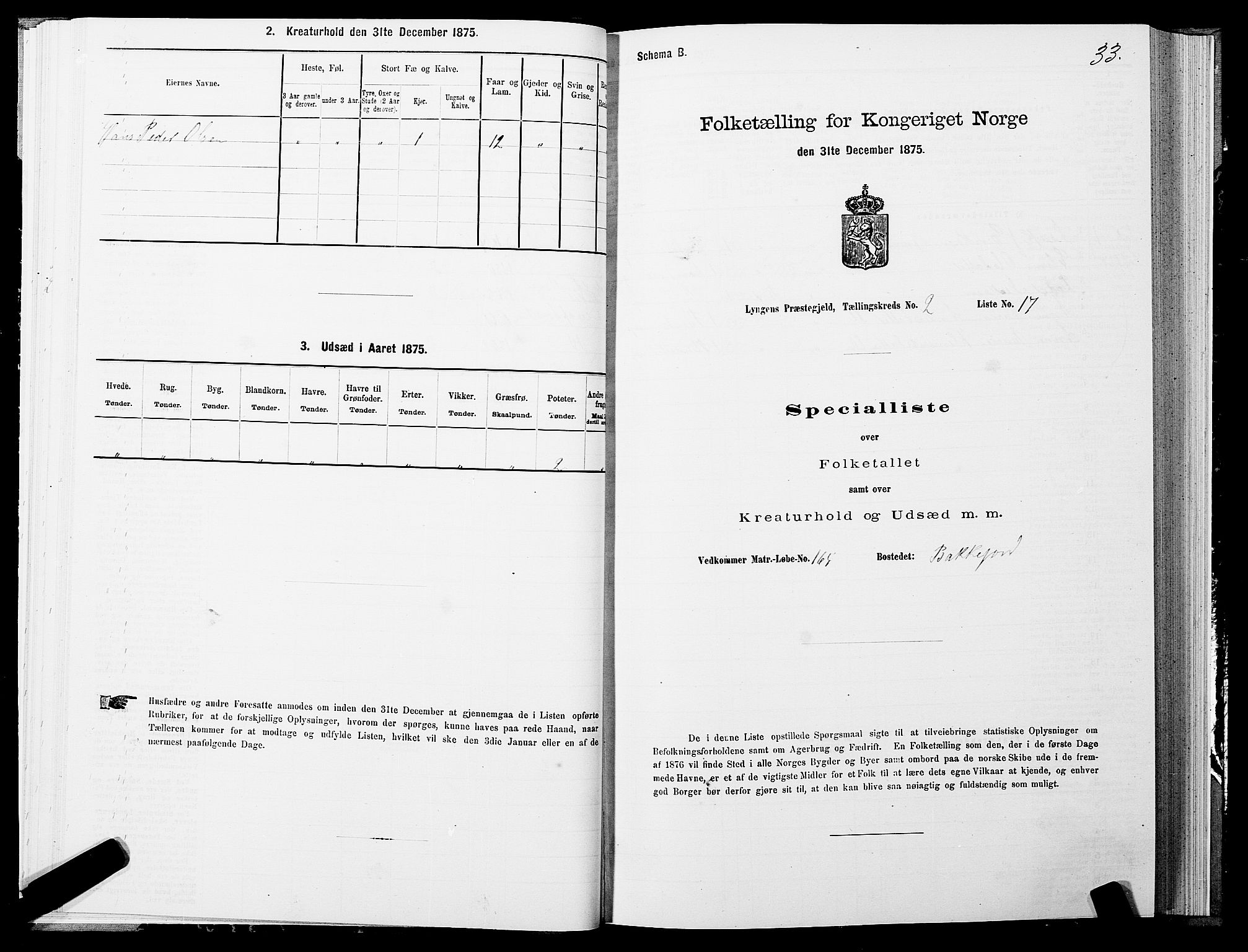 SATØ, Folketelling 1875 for 1938P Lyngen prestegjeld, 1875, s. 2033