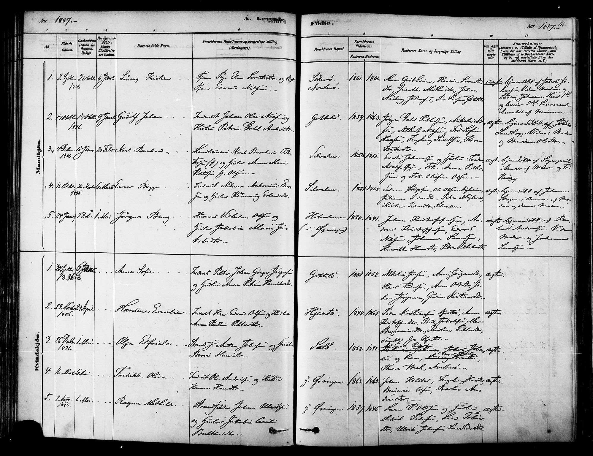 Ministerialprotokoller, klokkerbøker og fødselsregistre - Nordland, AV/SAT-A-1459/834/L0507: Ministerialbok nr. 834A05, 1878-1892, s. 116