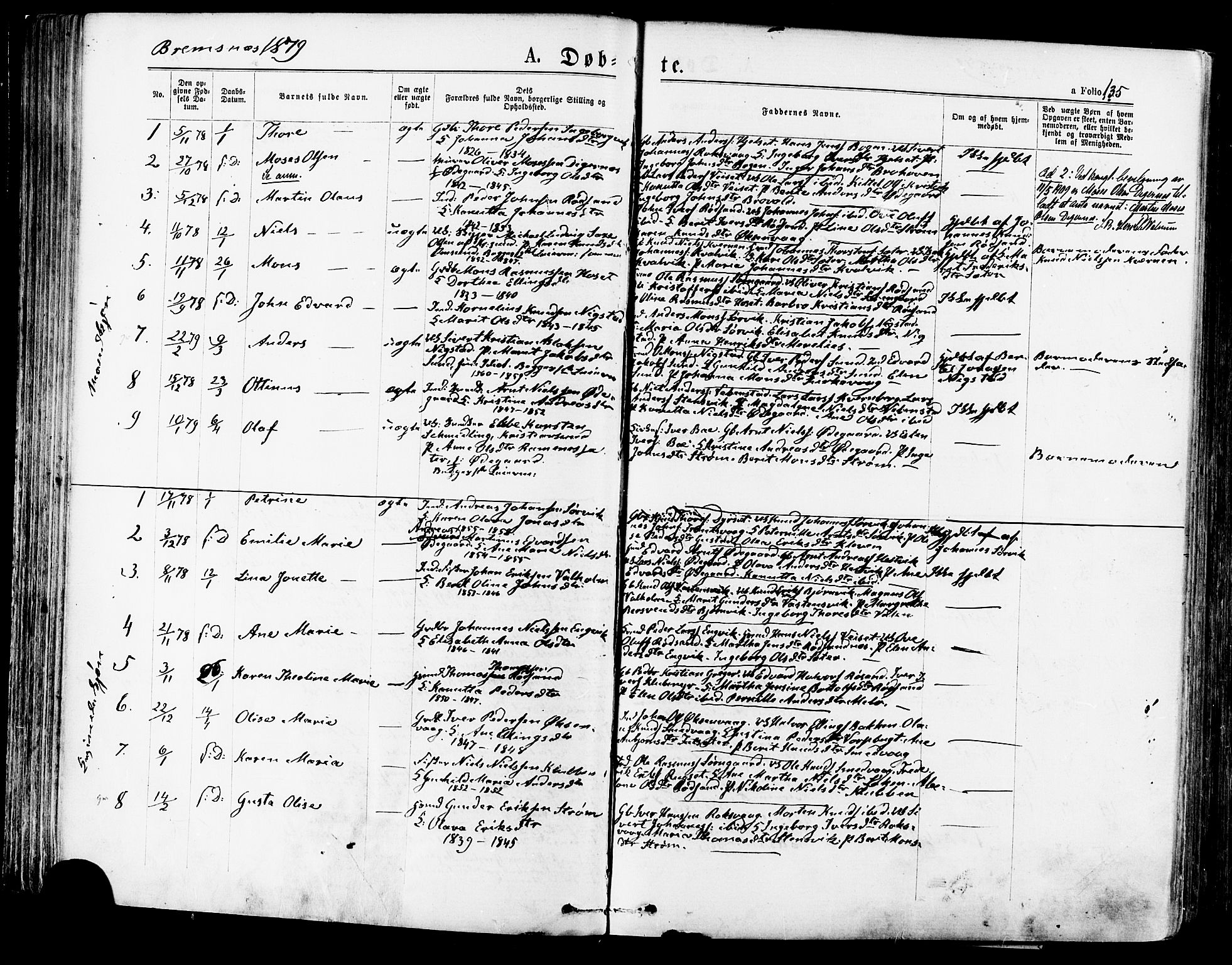 Ministerialprotokoller, klokkerbøker og fødselsregistre - Møre og Romsdal, SAT/A-1454/568/L0806: Ministerialbok nr. 568A12 /3, 1878-1884, s. 135