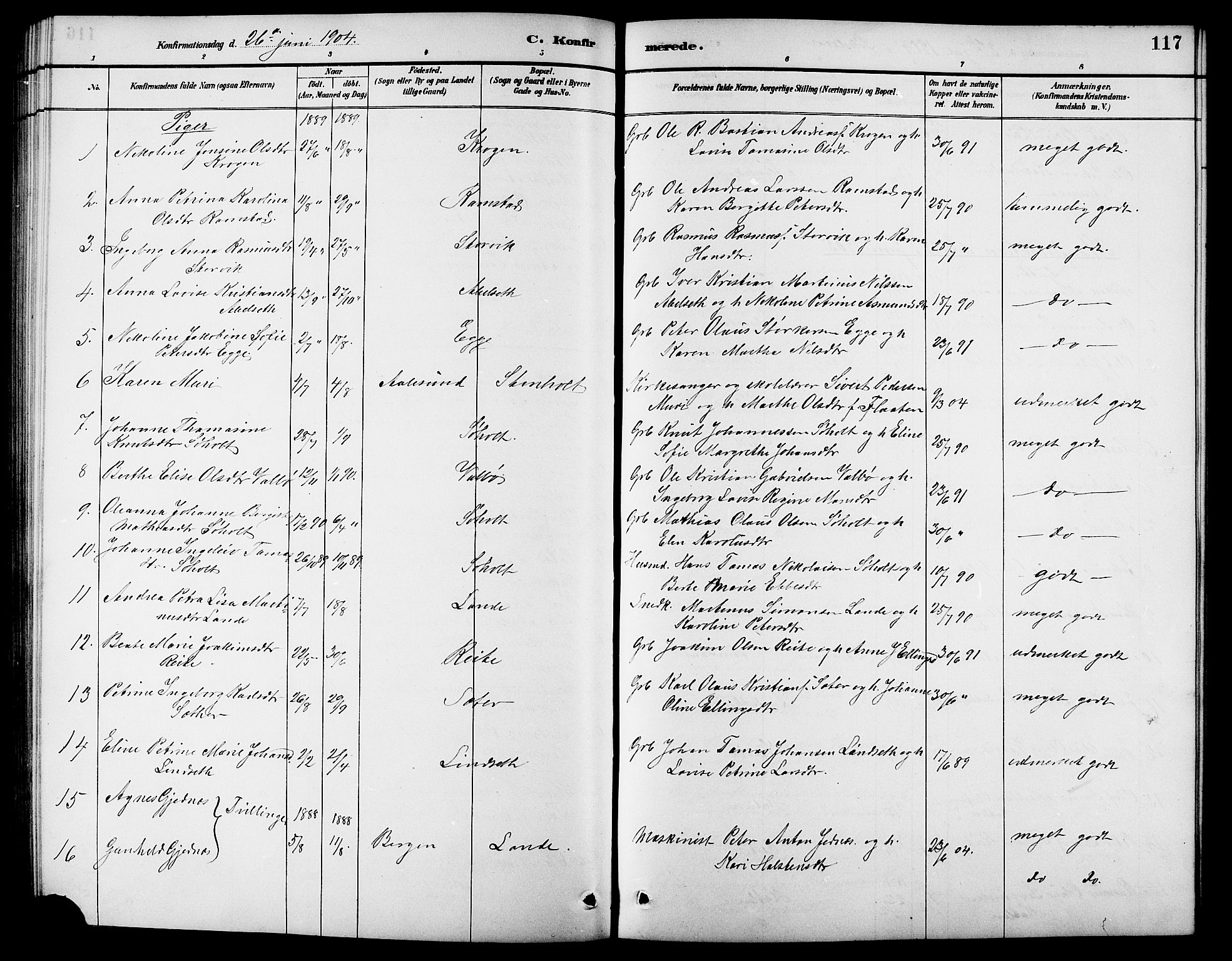 Ministerialprotokoller, klokkerbøker og fødselsregistre - Møre og Romsdal, AV/SAT-A-1454/522/L0327: Klokkerbok nr. 522C06, 1890-1915, s. 117